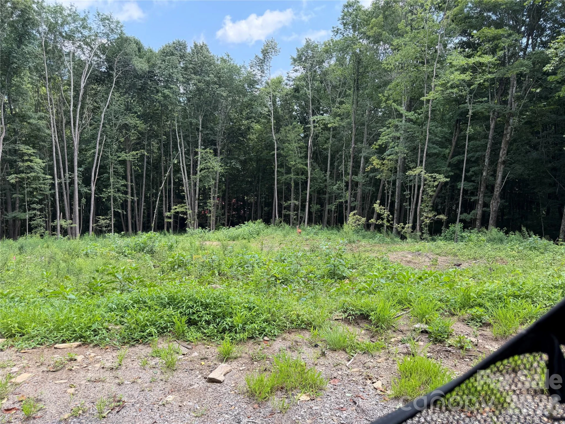 0000 Chimney Ridge Trail - Photo 12