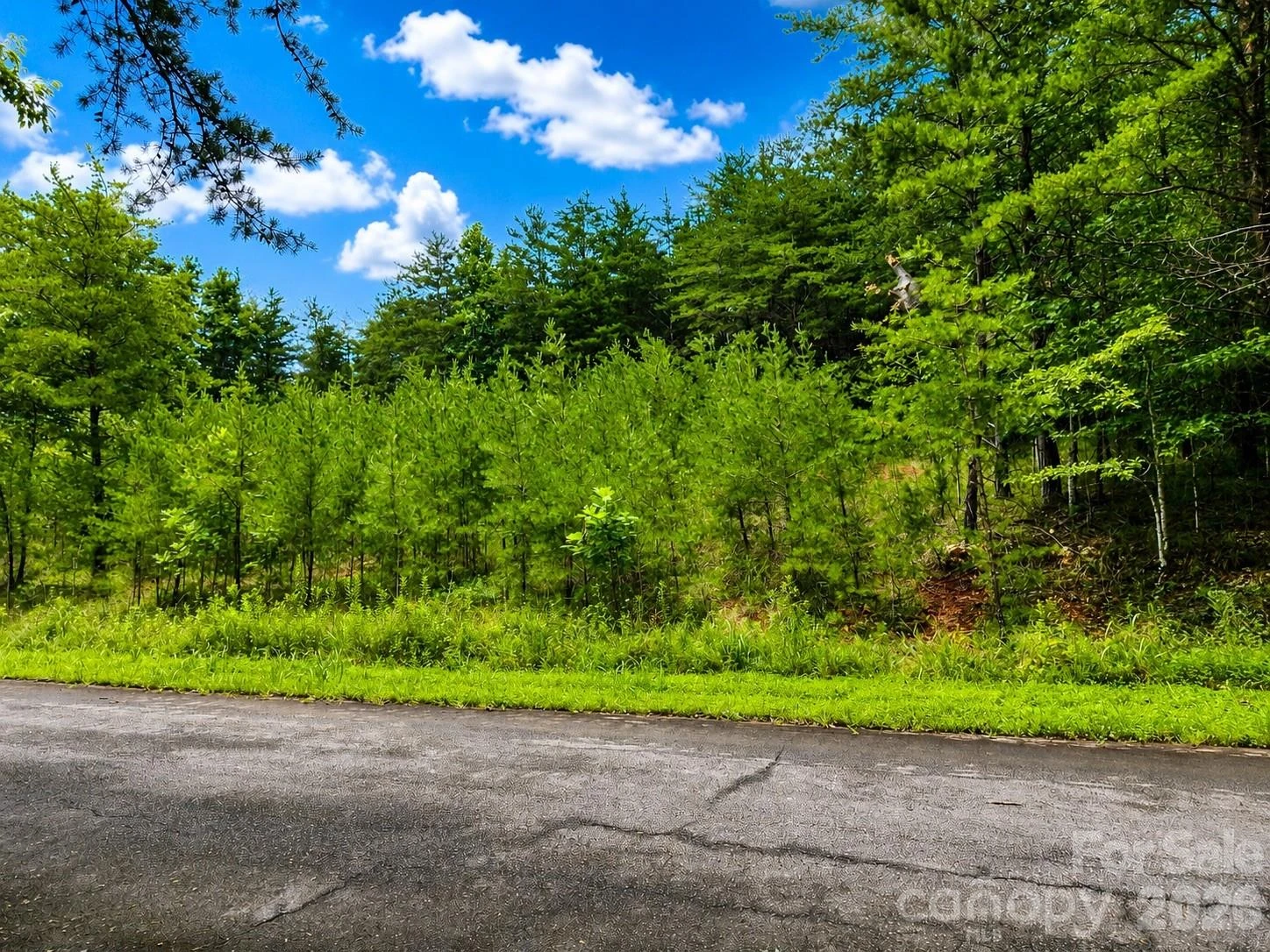 TBD Vista Drive - Photo 8