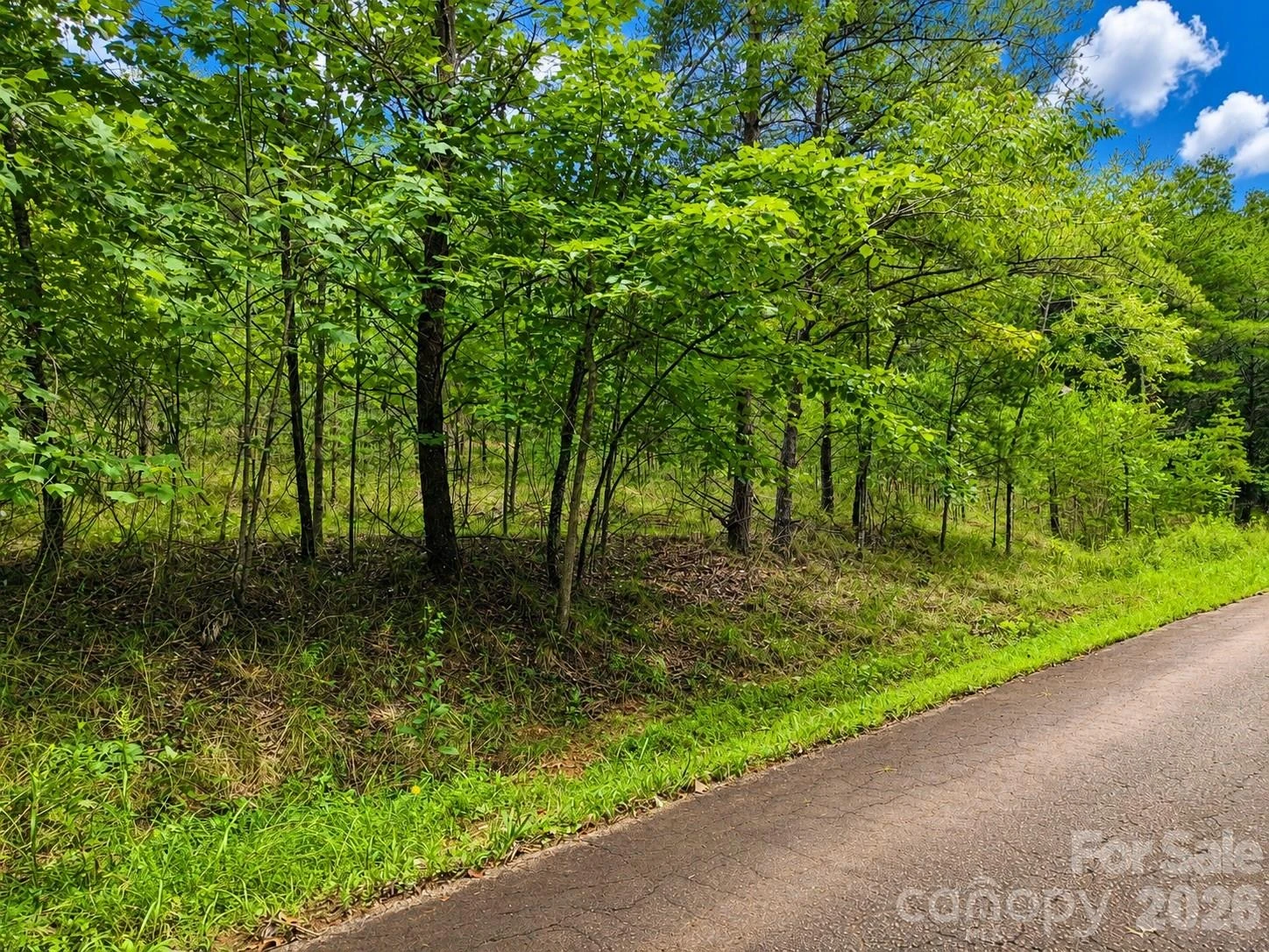 TBD Vista Drive - Photo 12
