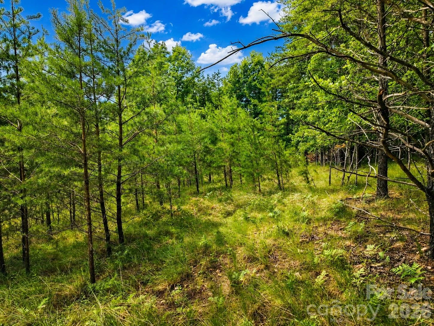TBD Vista Drive - Photo 15