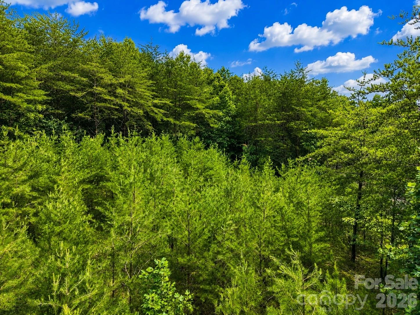 TBD Vista Drive - Photo 17