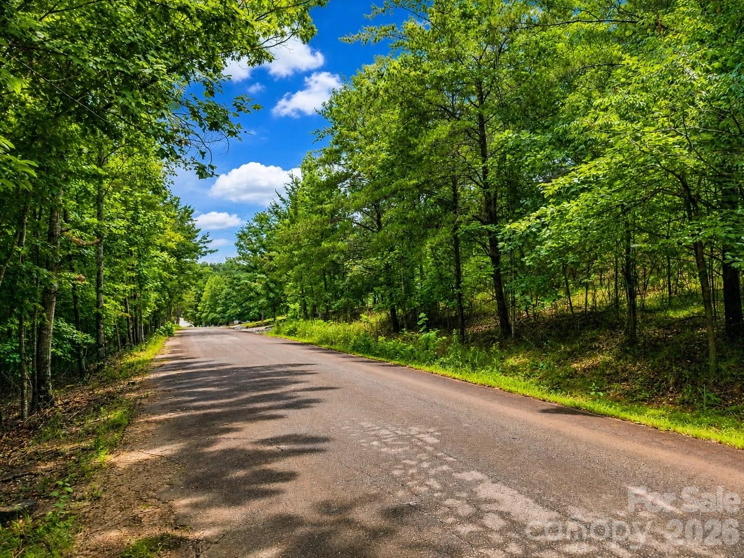 TBD Vista Drive - Photo 19