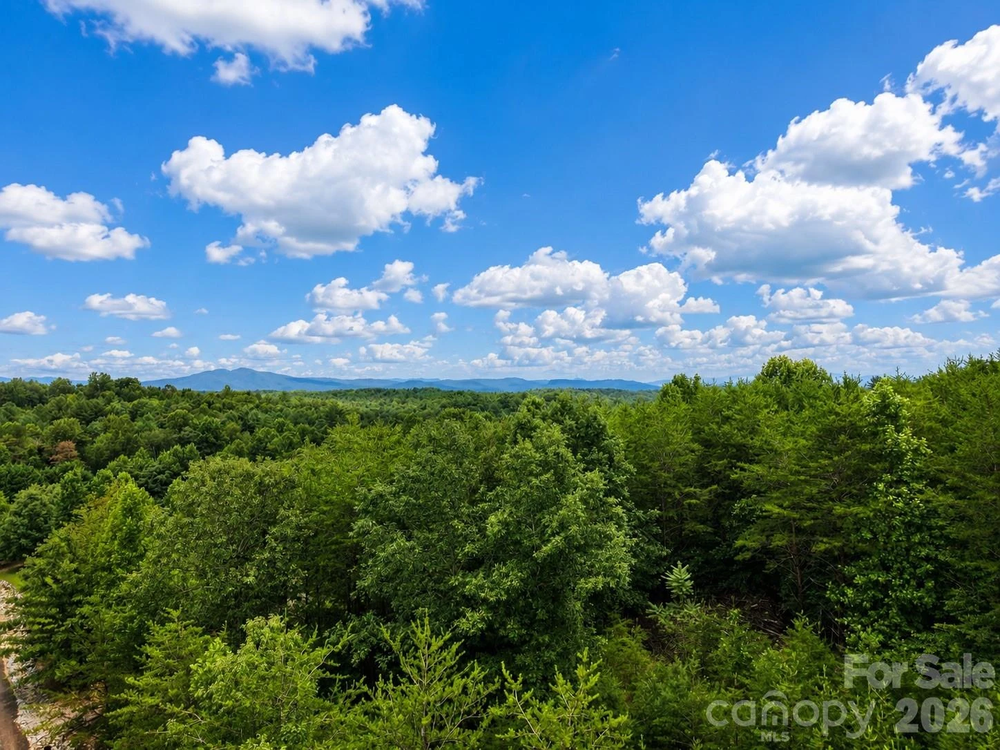 TBD Vista Drive - Photo 21