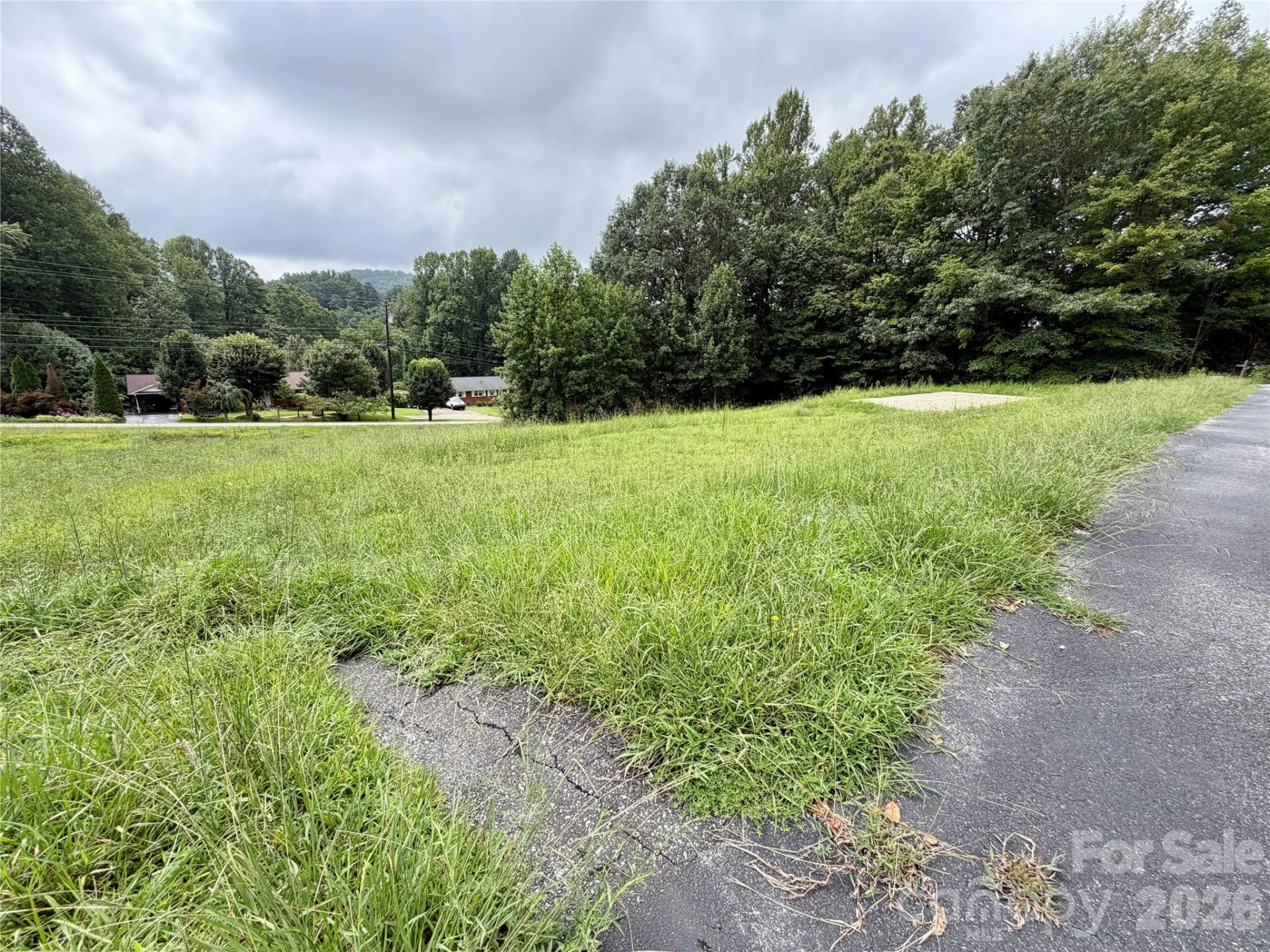 196 Beaman Road E - Photo 6