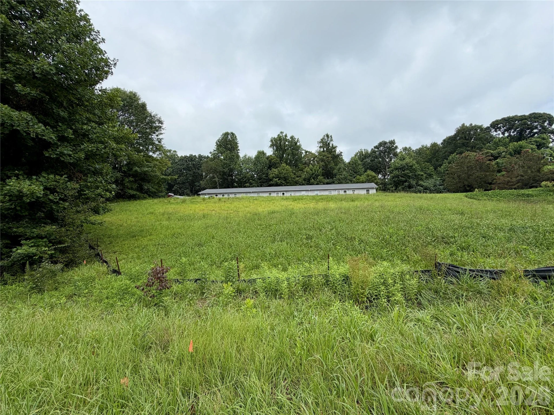 196 Beaman Road E - Photo 11