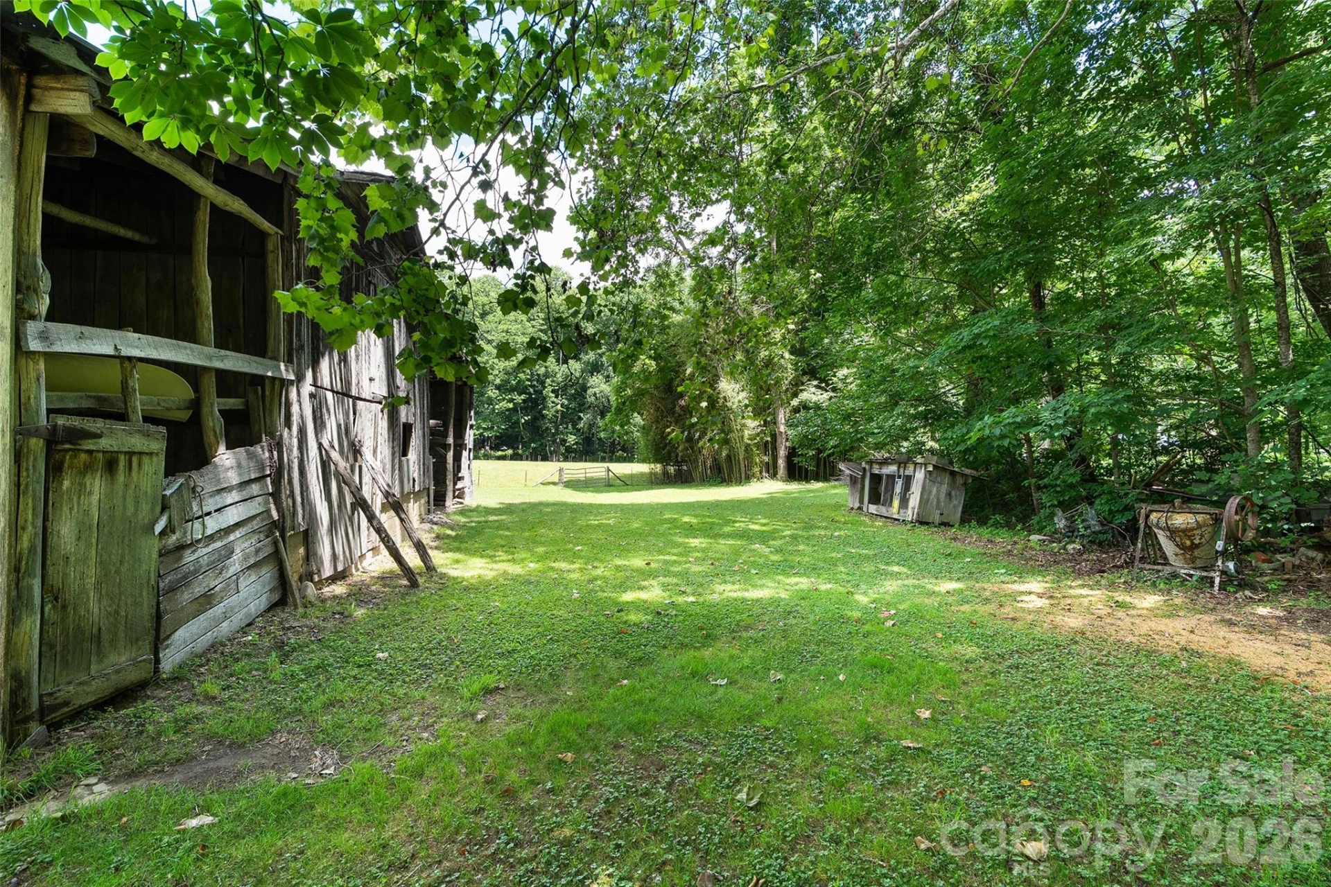 74, Tract 3 & 4 Badd Lane - Photo 7