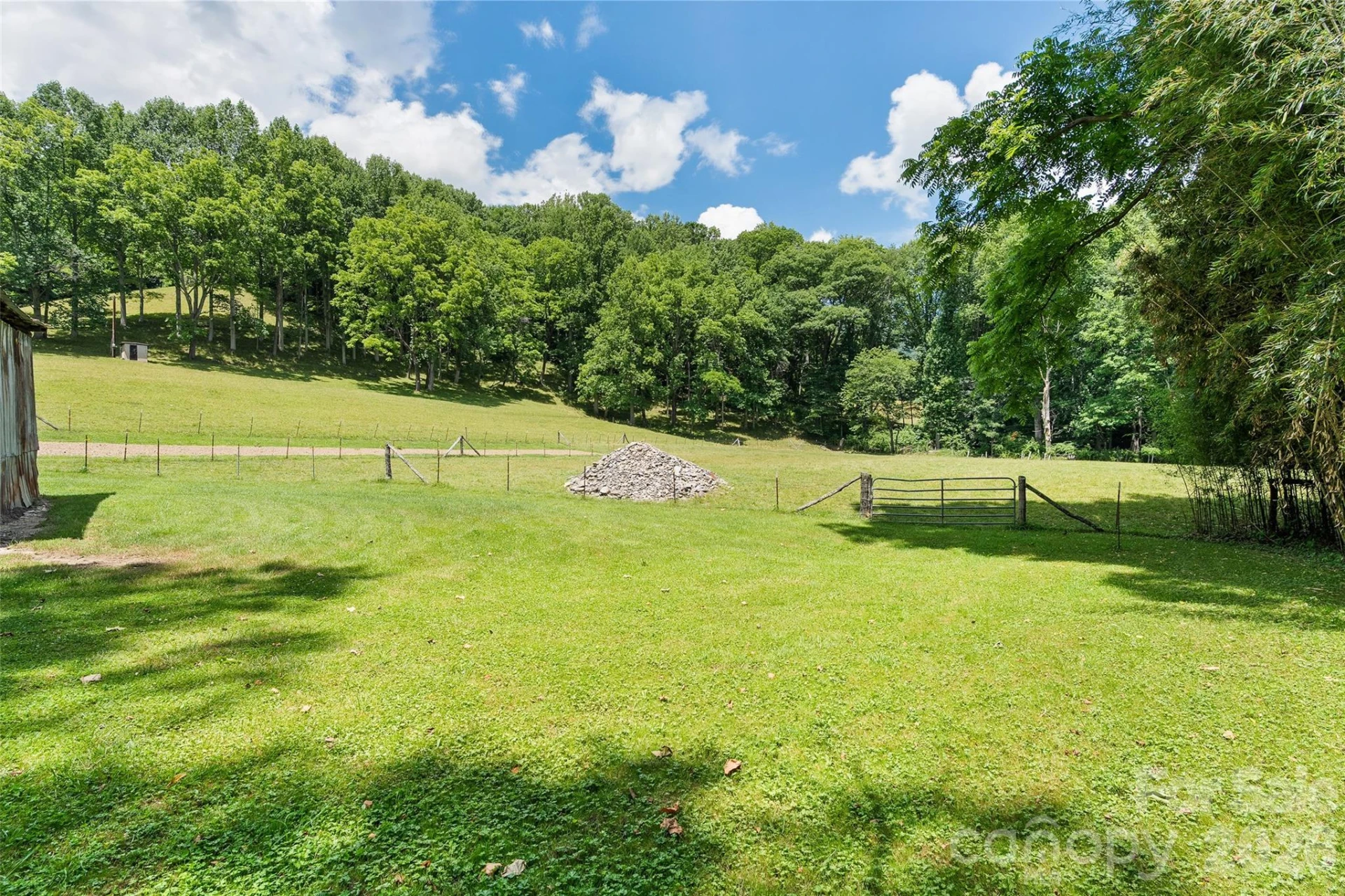 74, Tract 3 & 4 Badd Lane - Photo 9