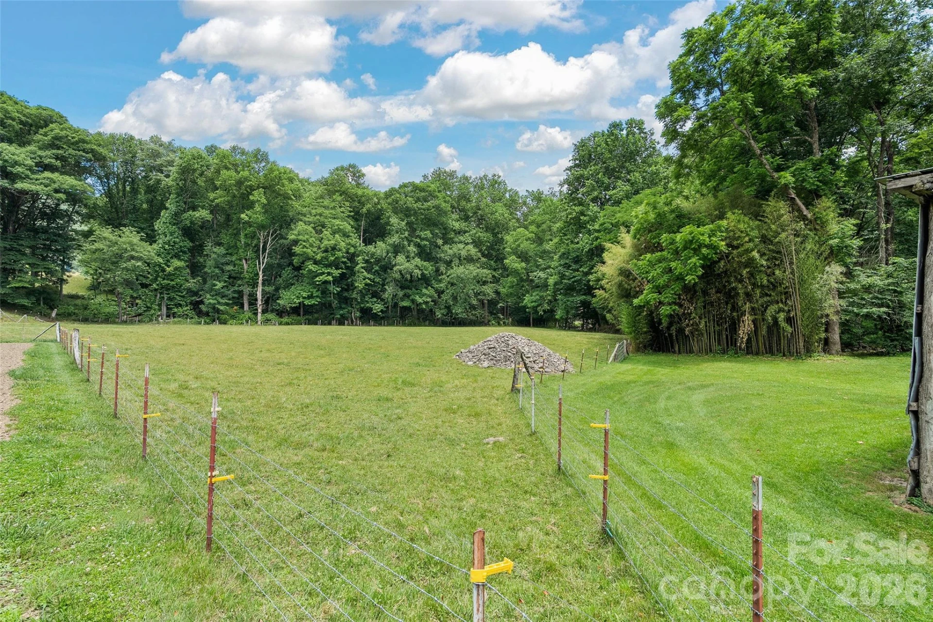 74, Tract 3 & 4 Badd Lane - Photo 10