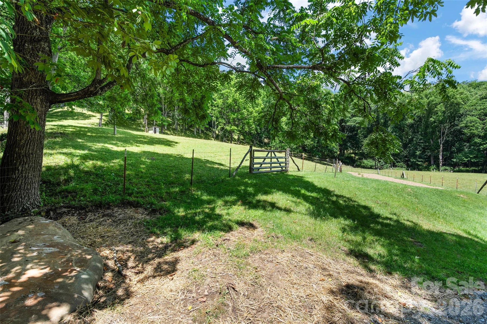 74, Tract 3 & 4 Badd Lane - Photo 12