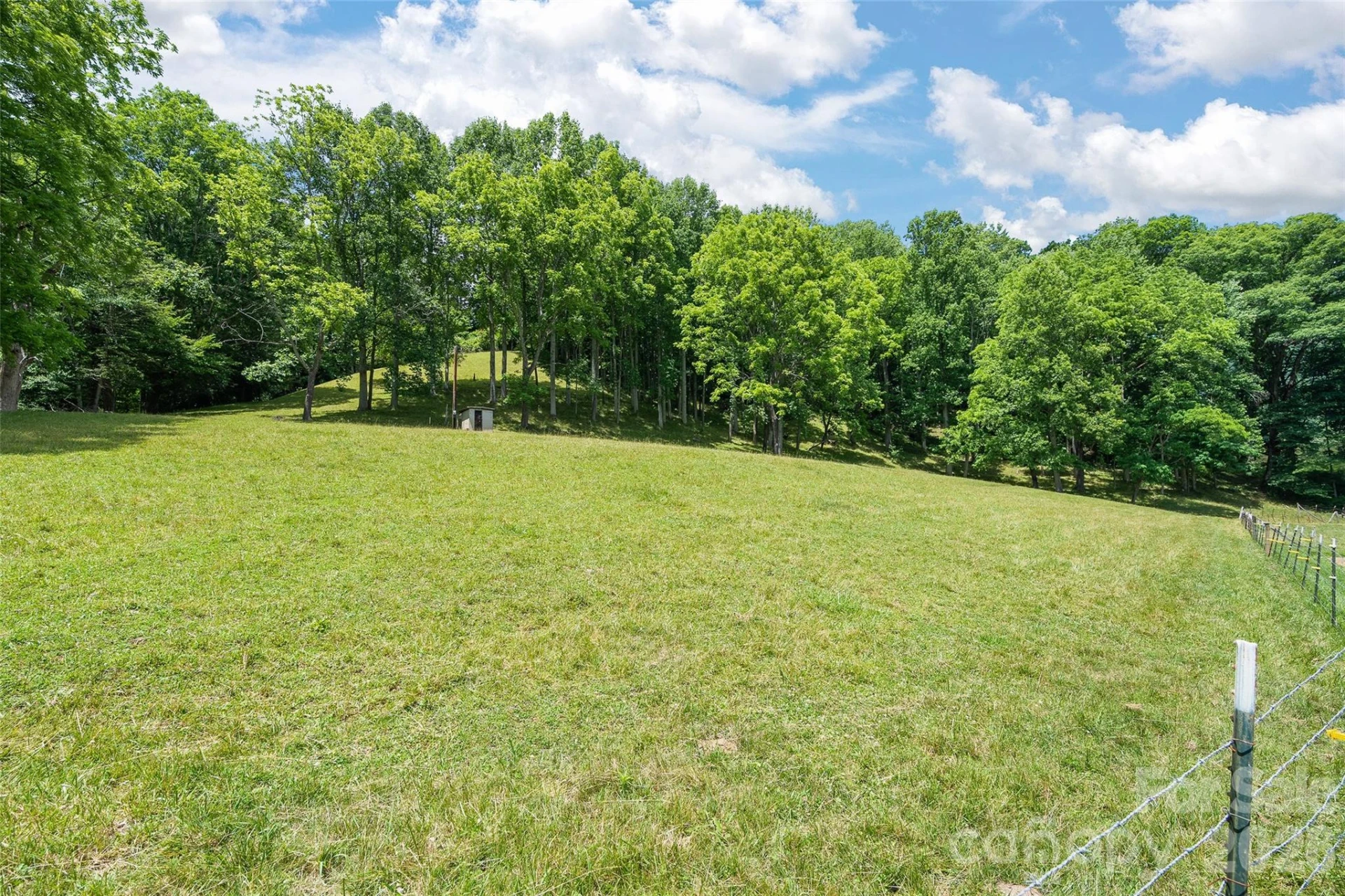 74, Tract 3 & 4 Badd Lane - Photo 13