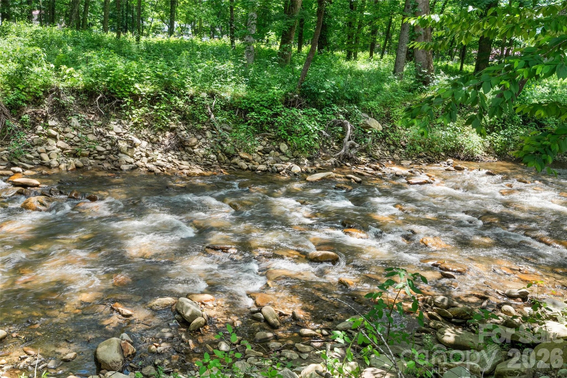 74, Tract 3 & 4 Badd Lane - Photo 16