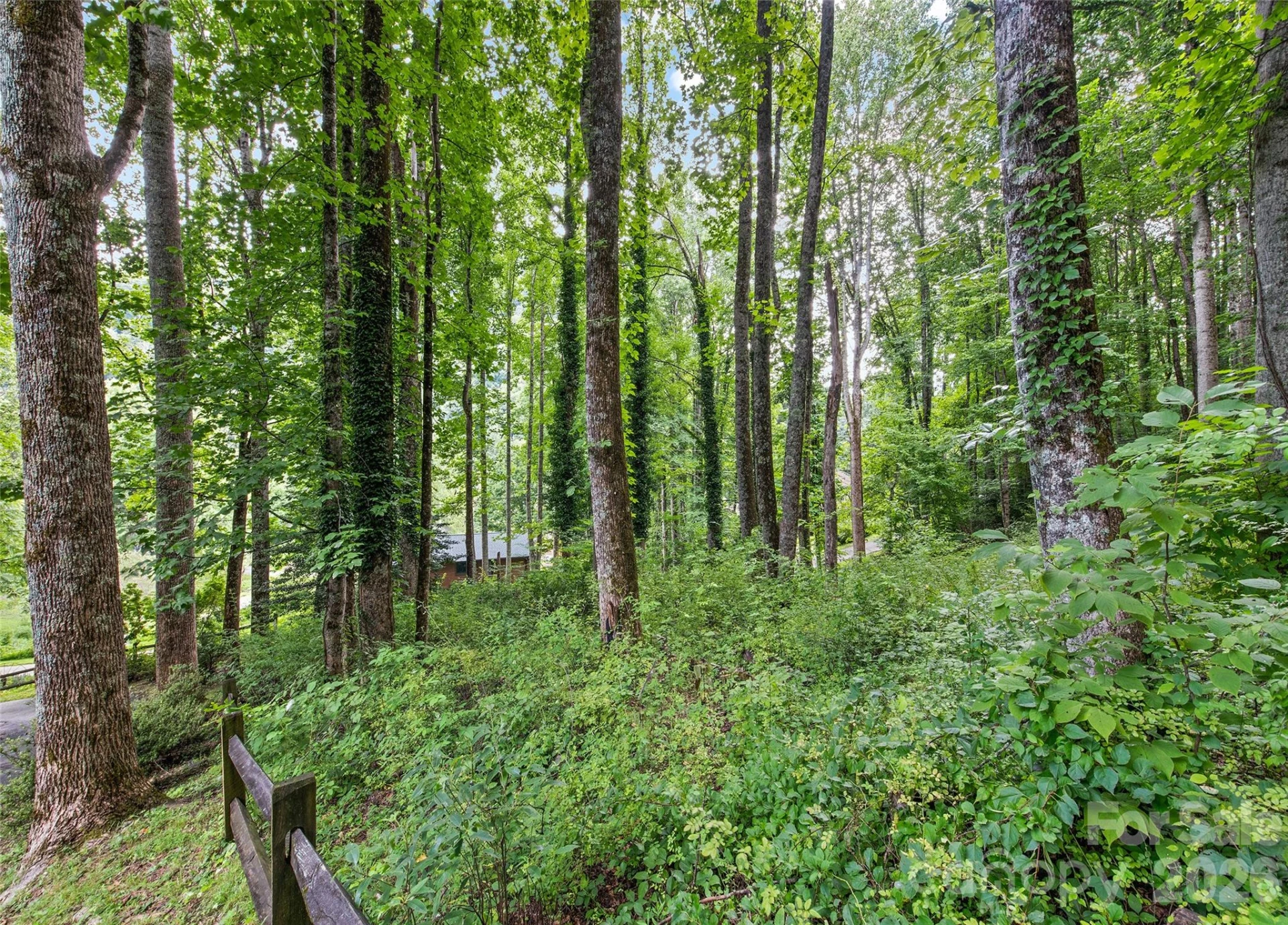 294 Laurel Branch Road - Photo 32