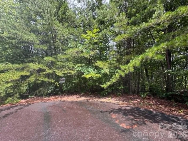 TBD Fire Tower Road, Bostic, NC, 28018