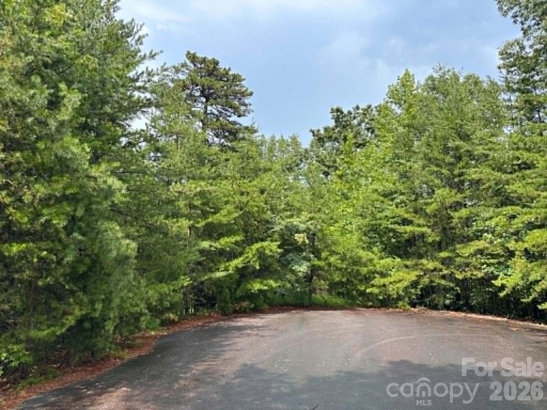 TBD Fire Tower Road - Photo 2