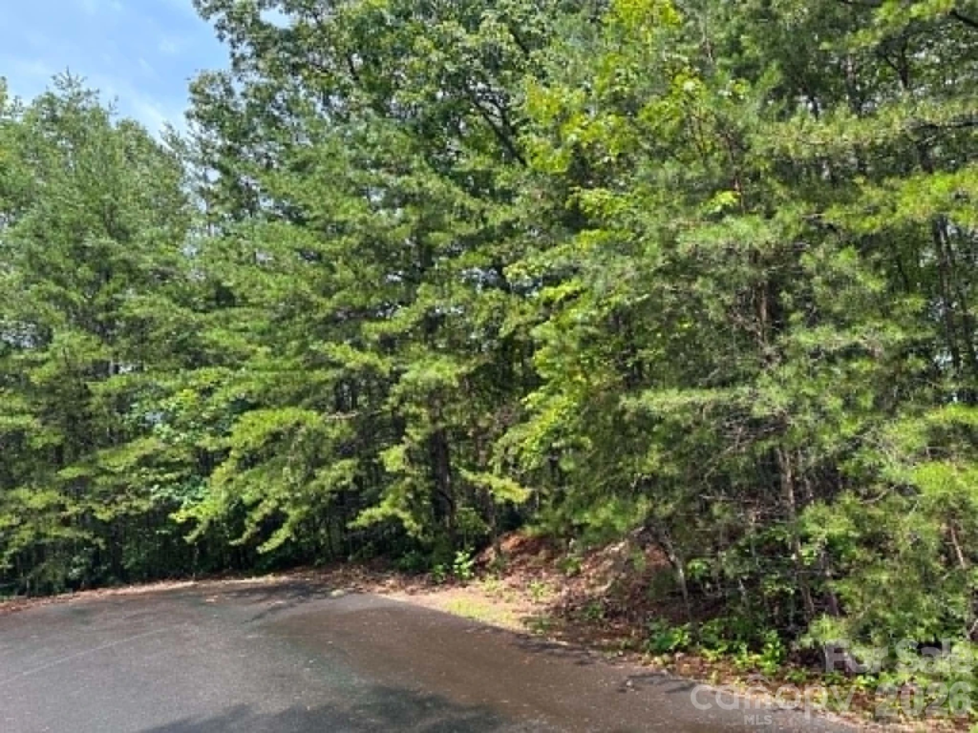 TBD Fire Tower Road - Photo 3