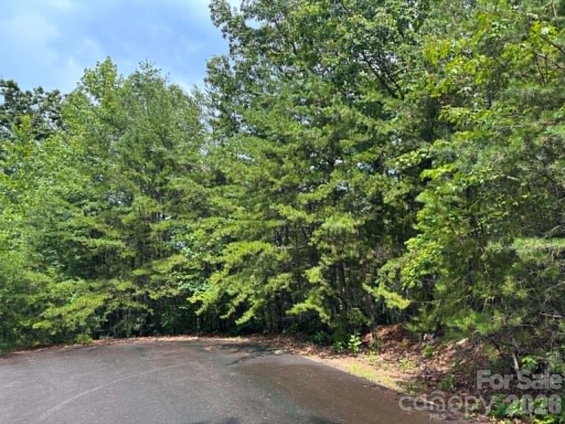 TBD Fire Tower Road - Photo 4