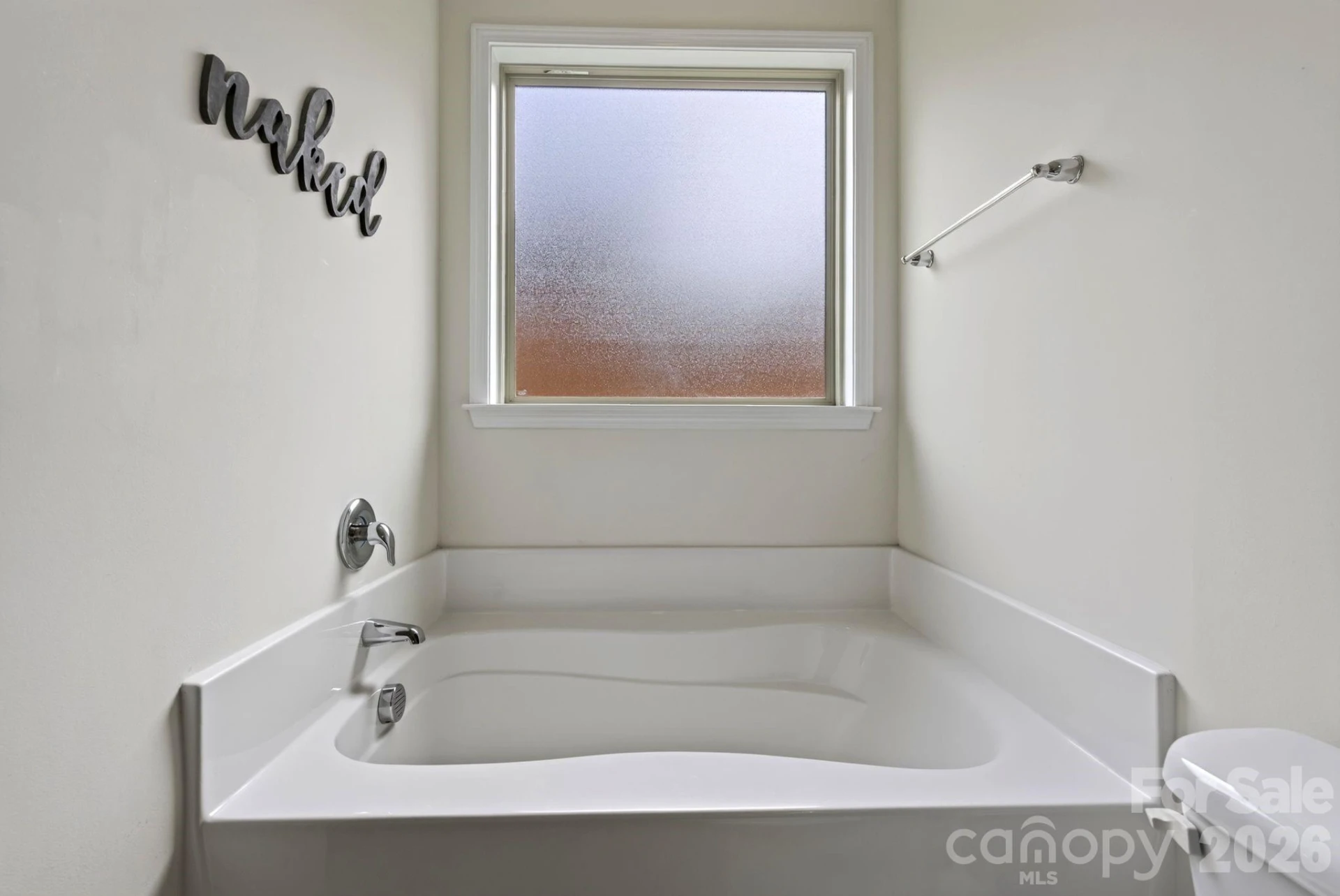 214 Water Leaf Drive - Photo 19