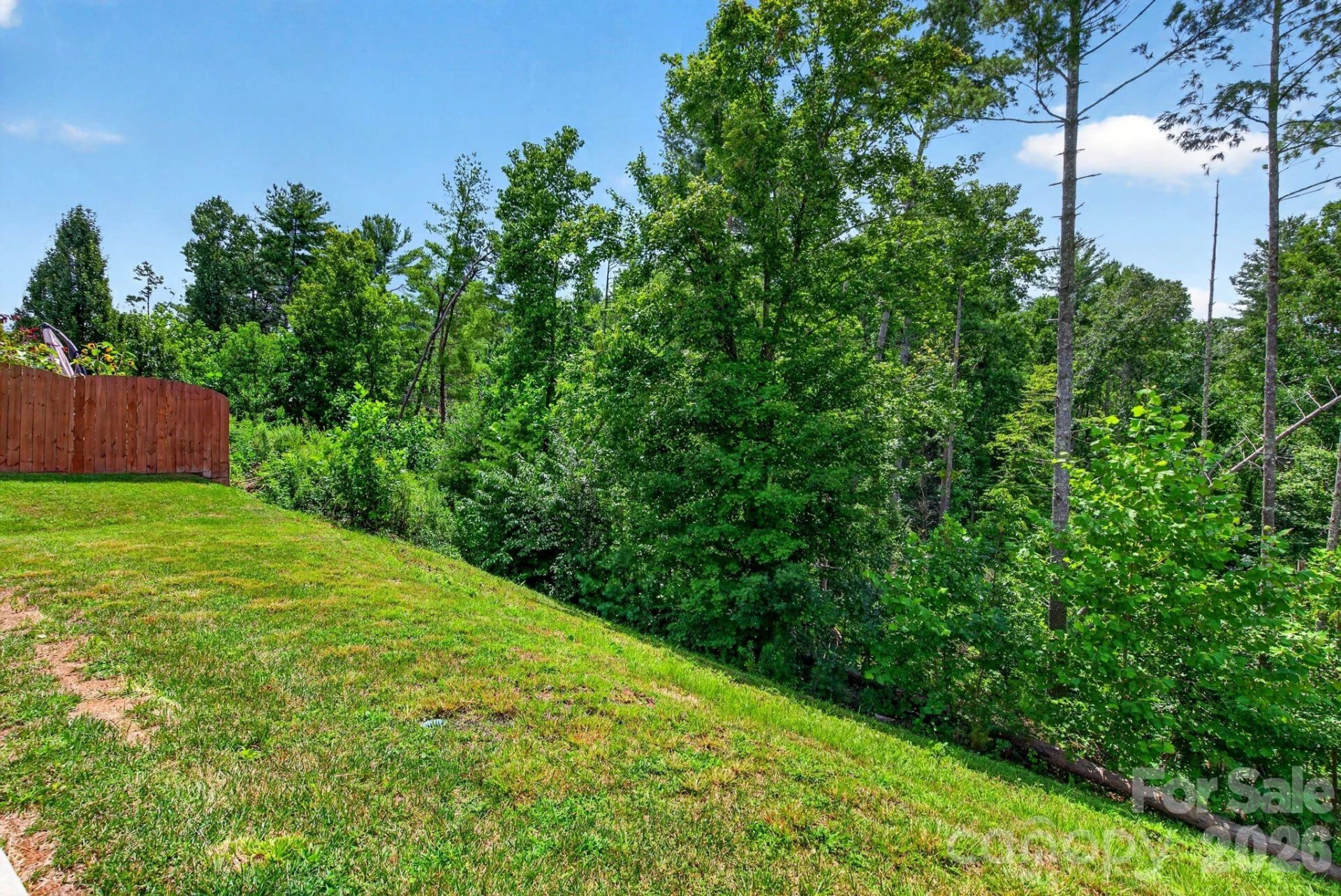 214 Water Leaf Drive - Photo 29