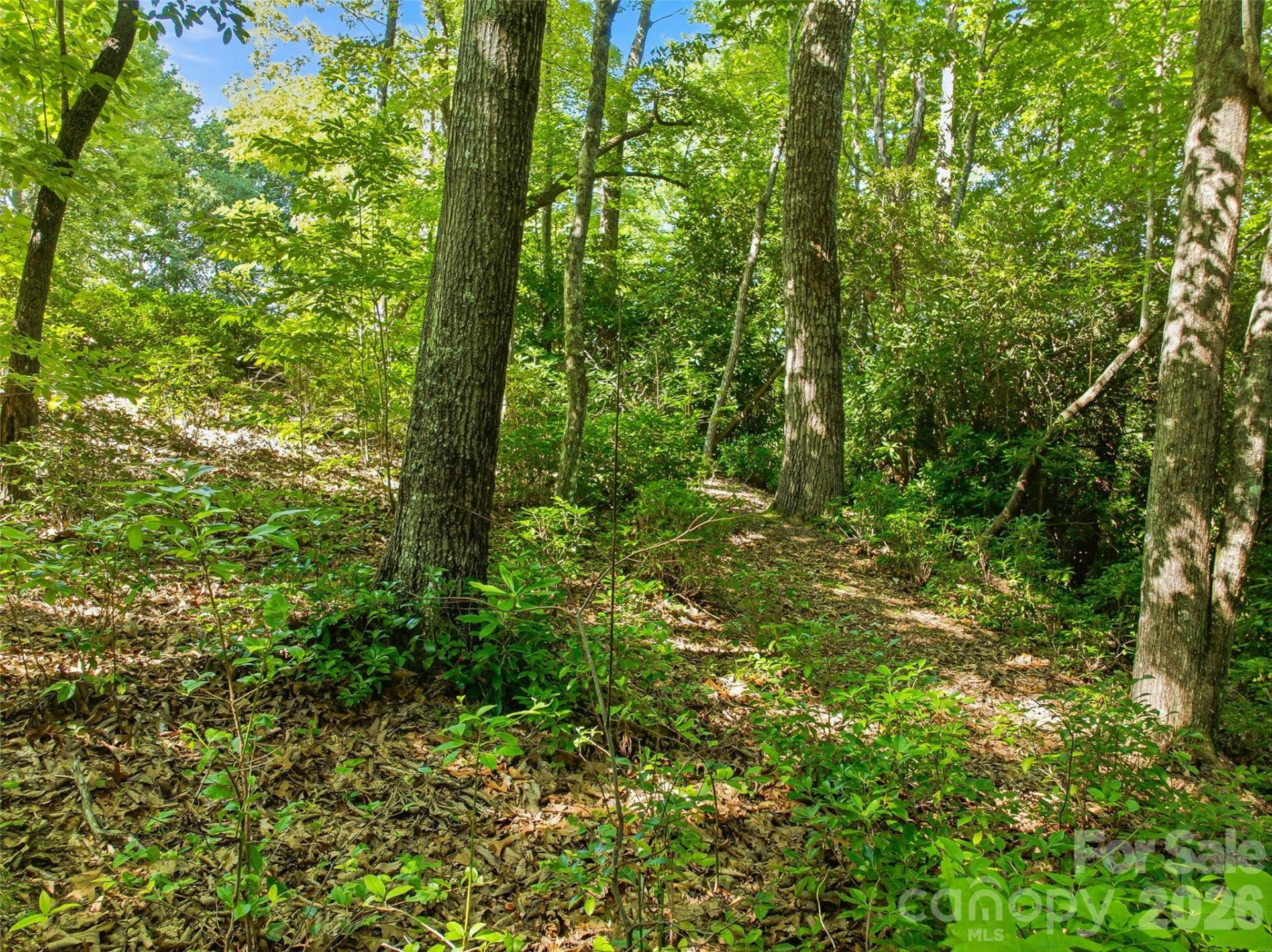 0000 Red Bud Lane #3-F - Photo 5