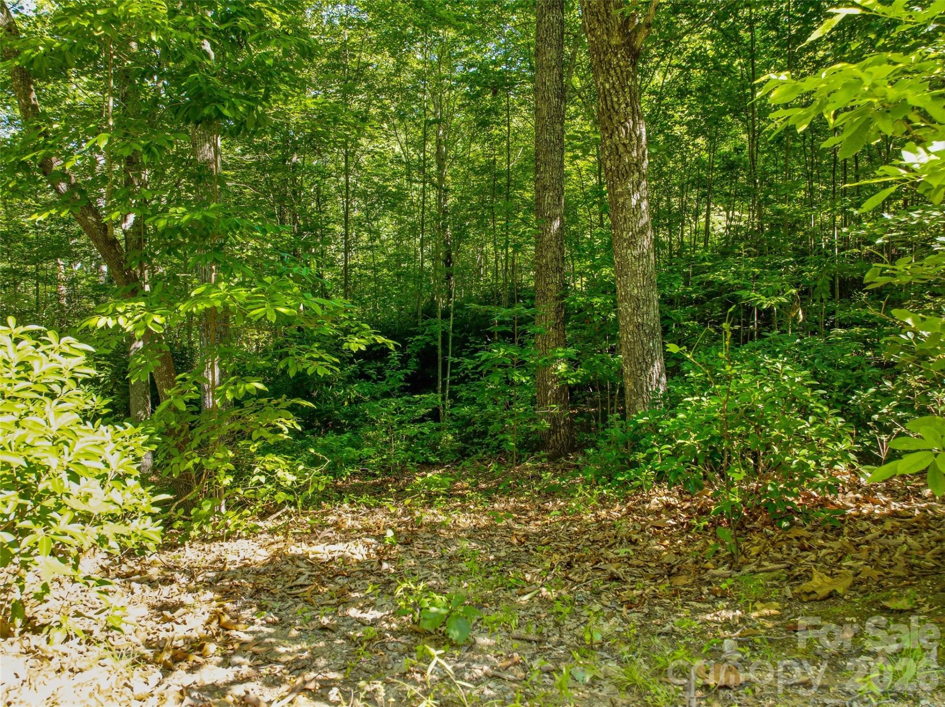 0000 Red Bud Lane #3-F - Photo 15