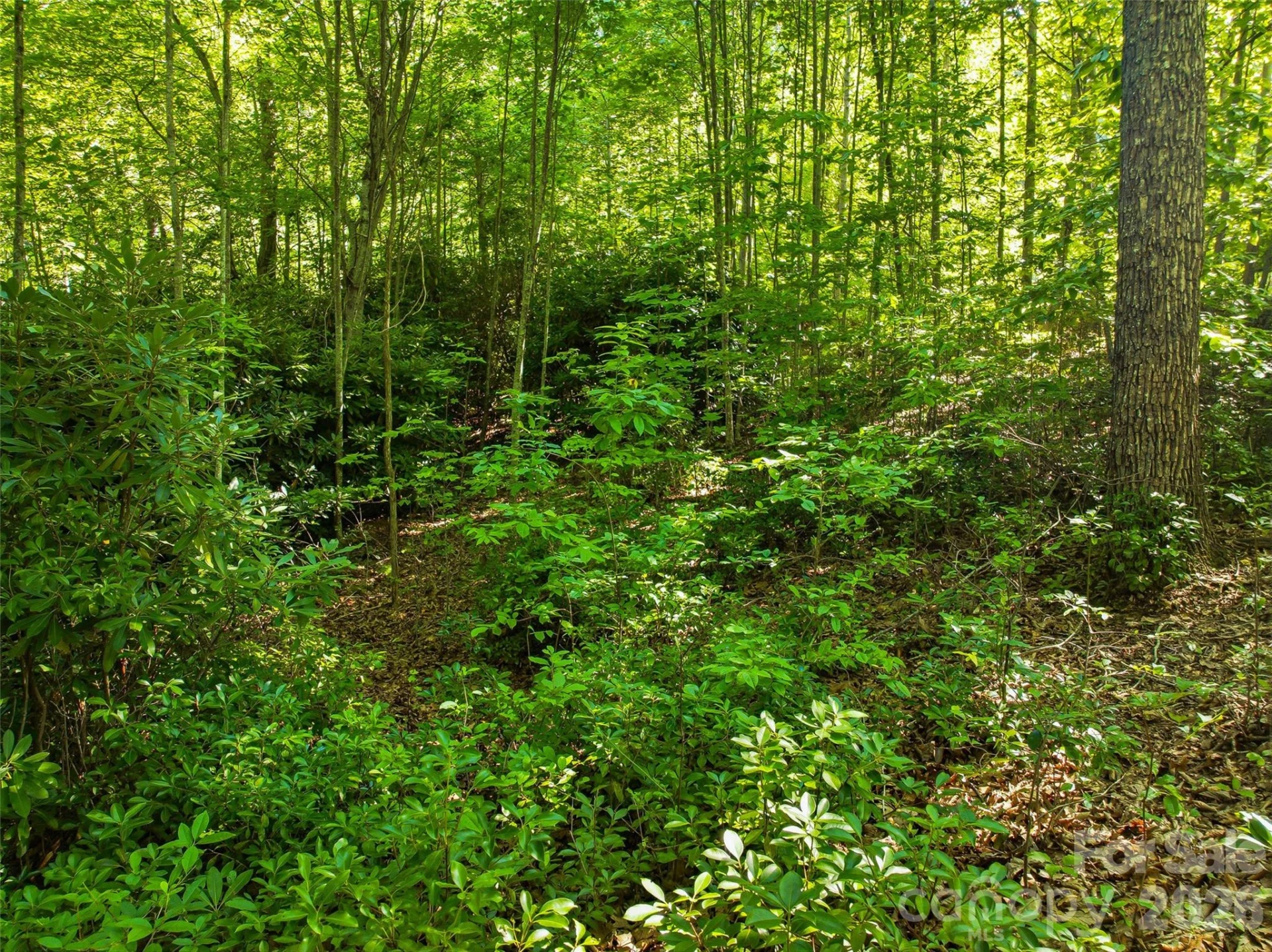 0000 Red Bud Lane #3-F - Photo 20