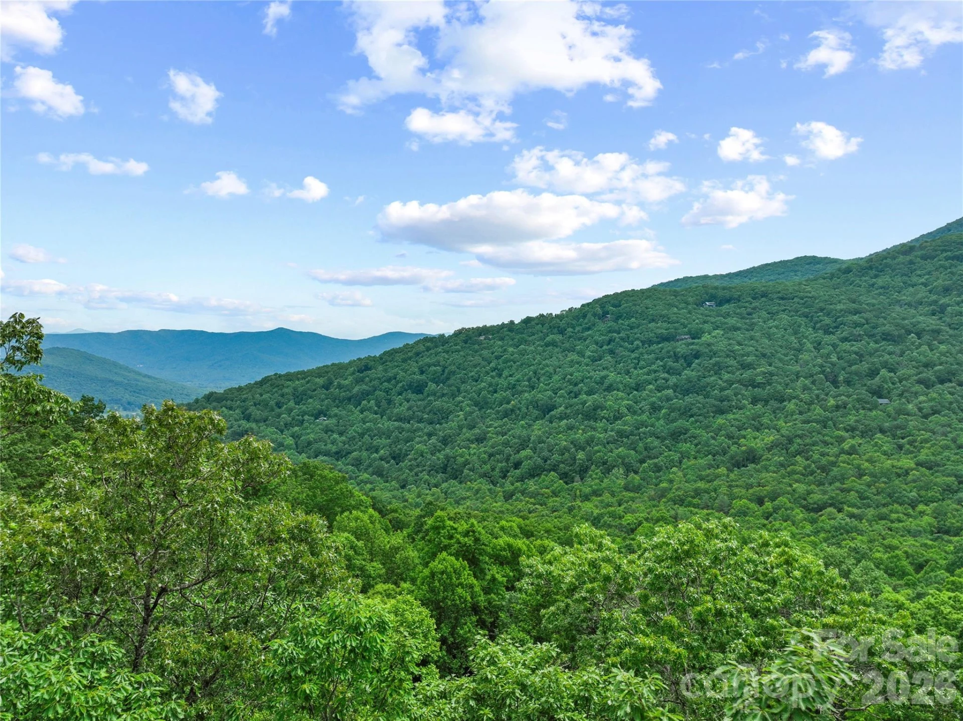 99999 Winding Poplar Road #915 - Photo 2