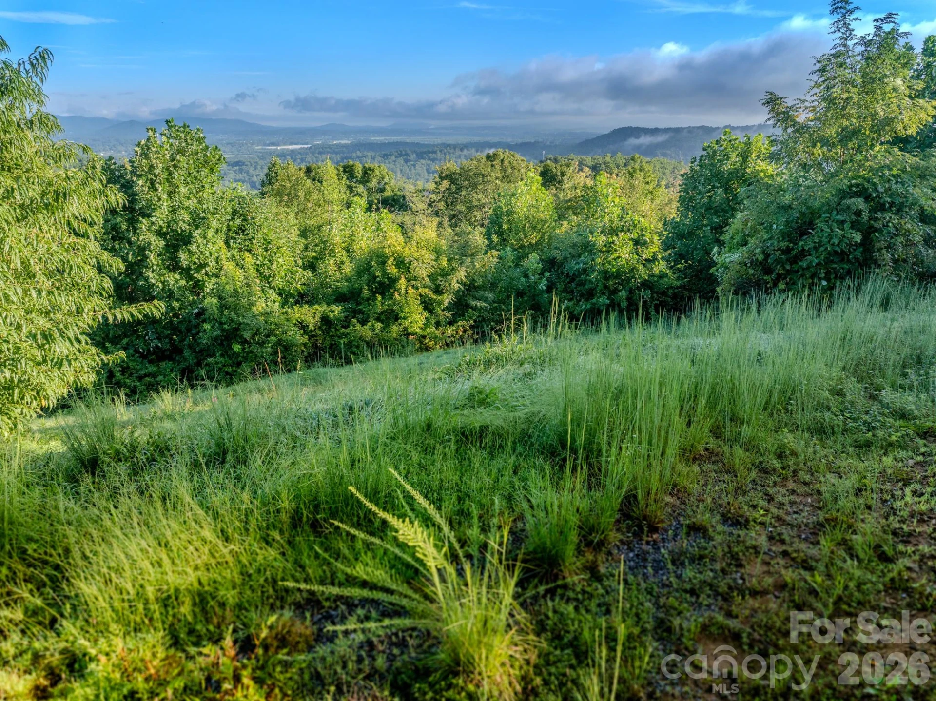 00 Skydance Trail #15 - Photo 2