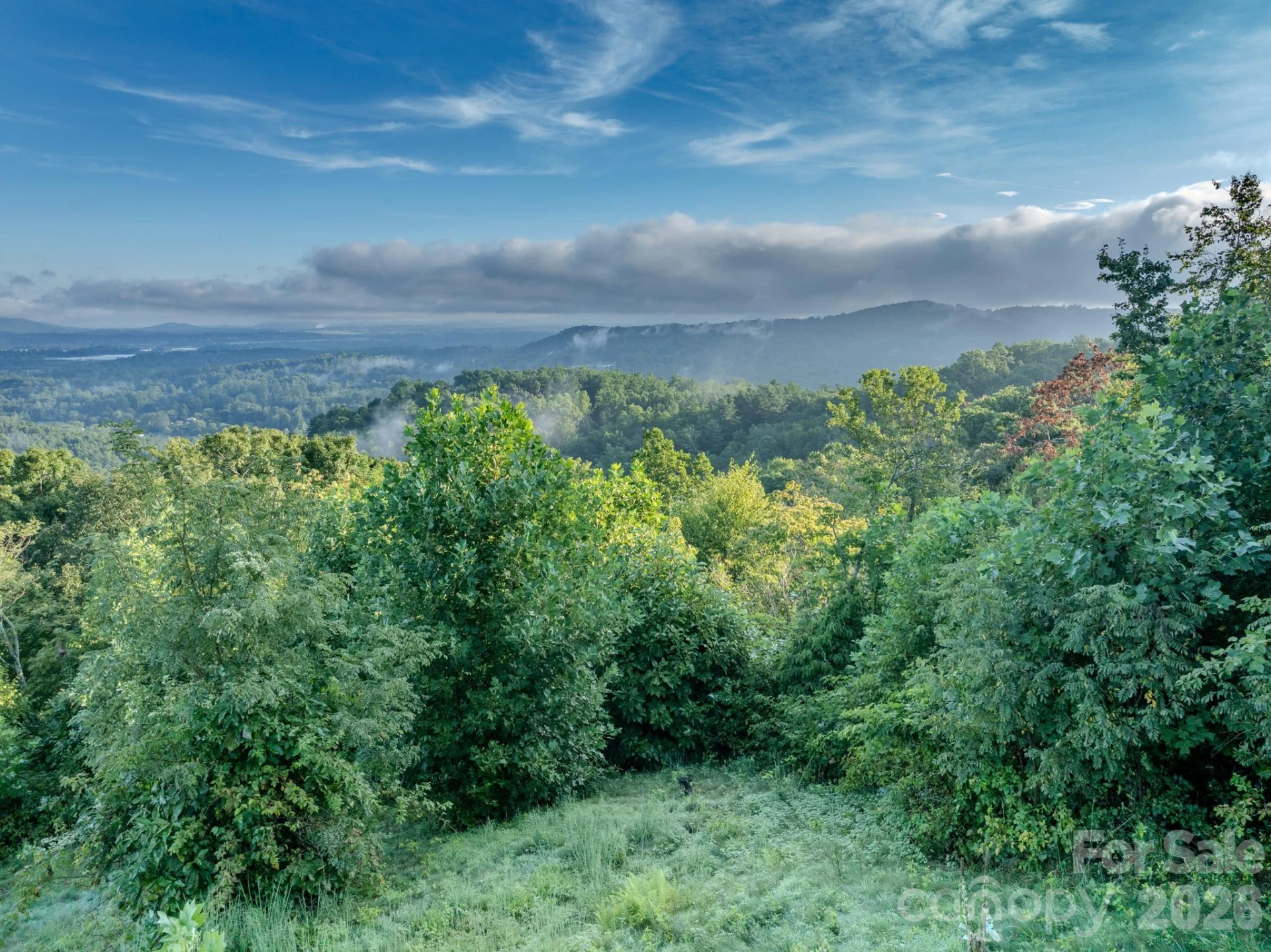 00 Skydance Trail #15 - Photo 5