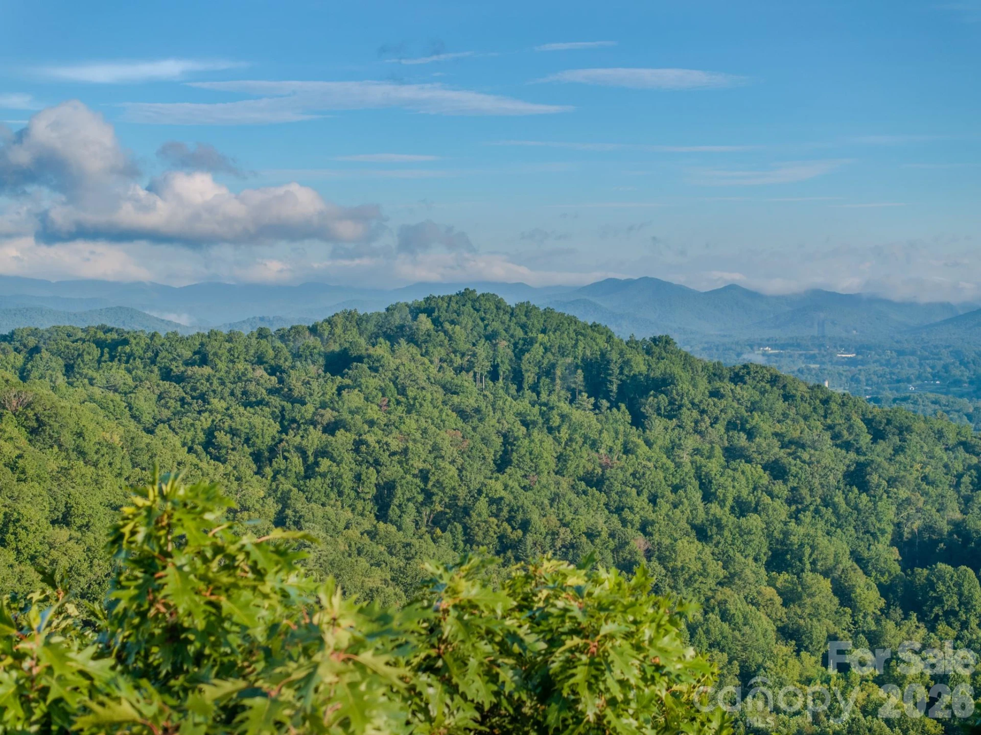 00 Skydance Trail #15 - Photo 10