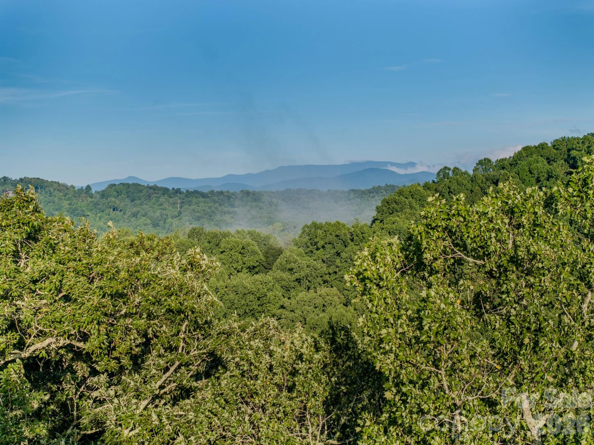 00 Skydance Trail #15 - Photo 11