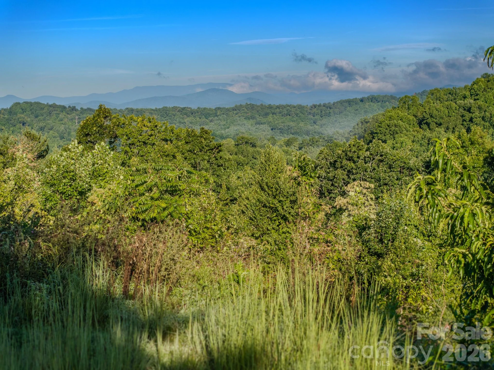 00 Skydance Trail #15 - Photo 35
