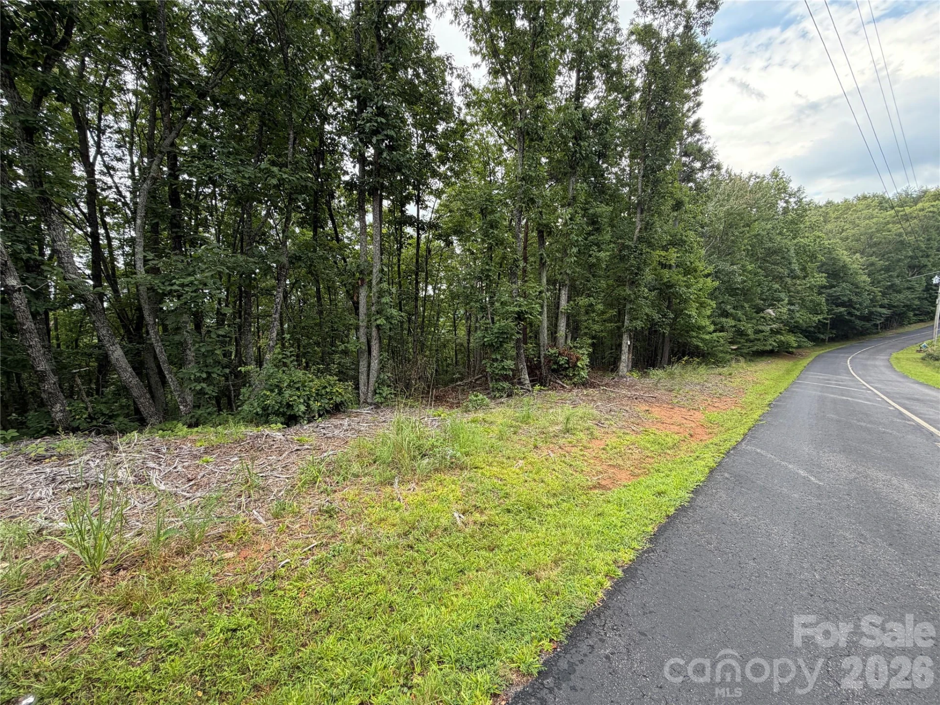 69 Idlewild Drive - Photo 3