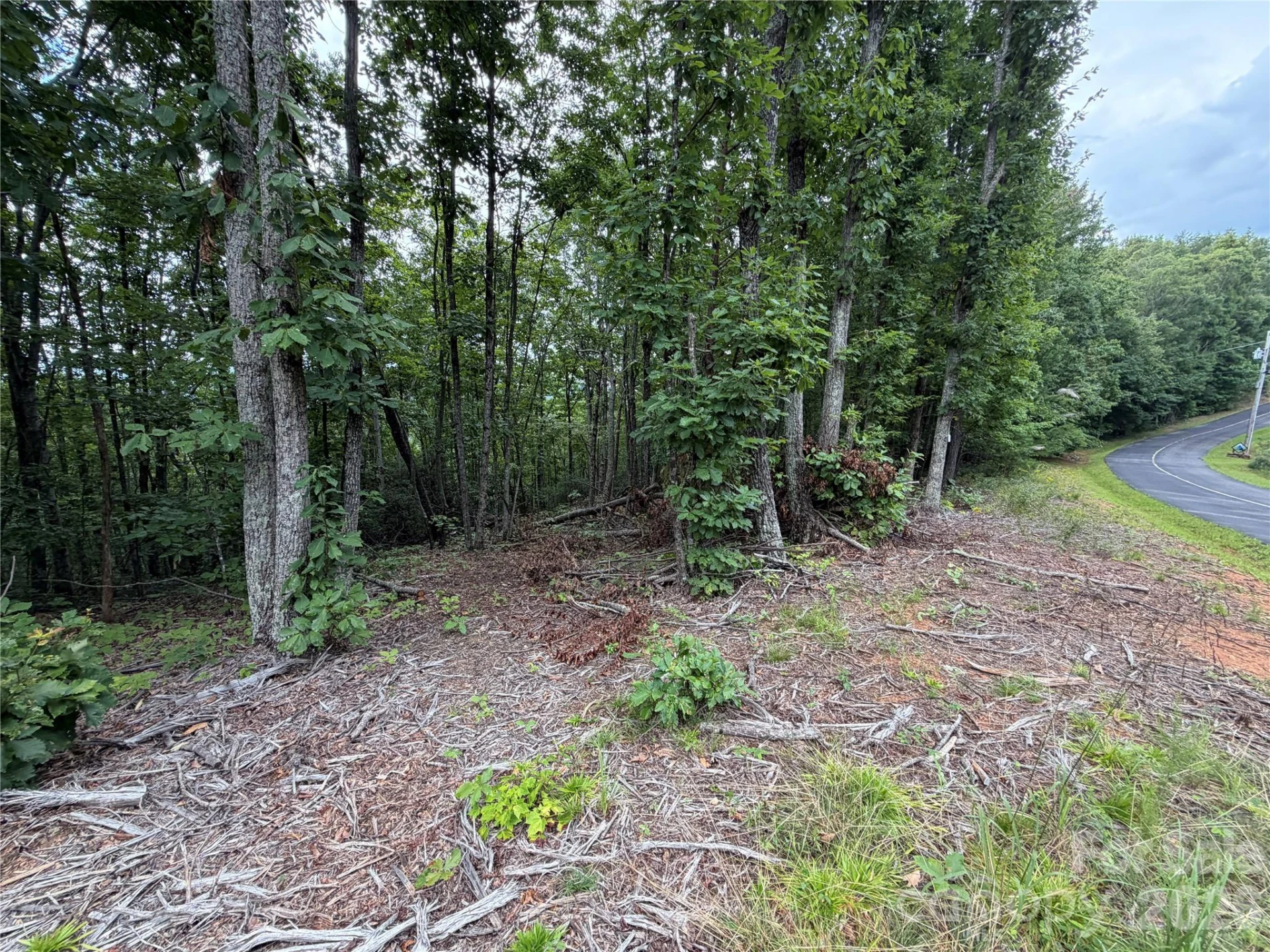 69 Idlewild Drive - Photo 5