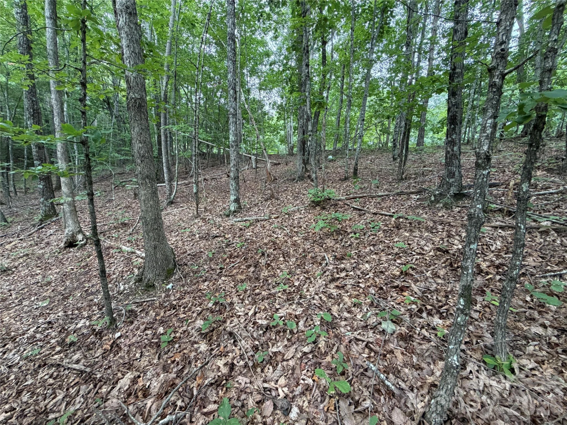 69 Idlewild Drive - Photo 6