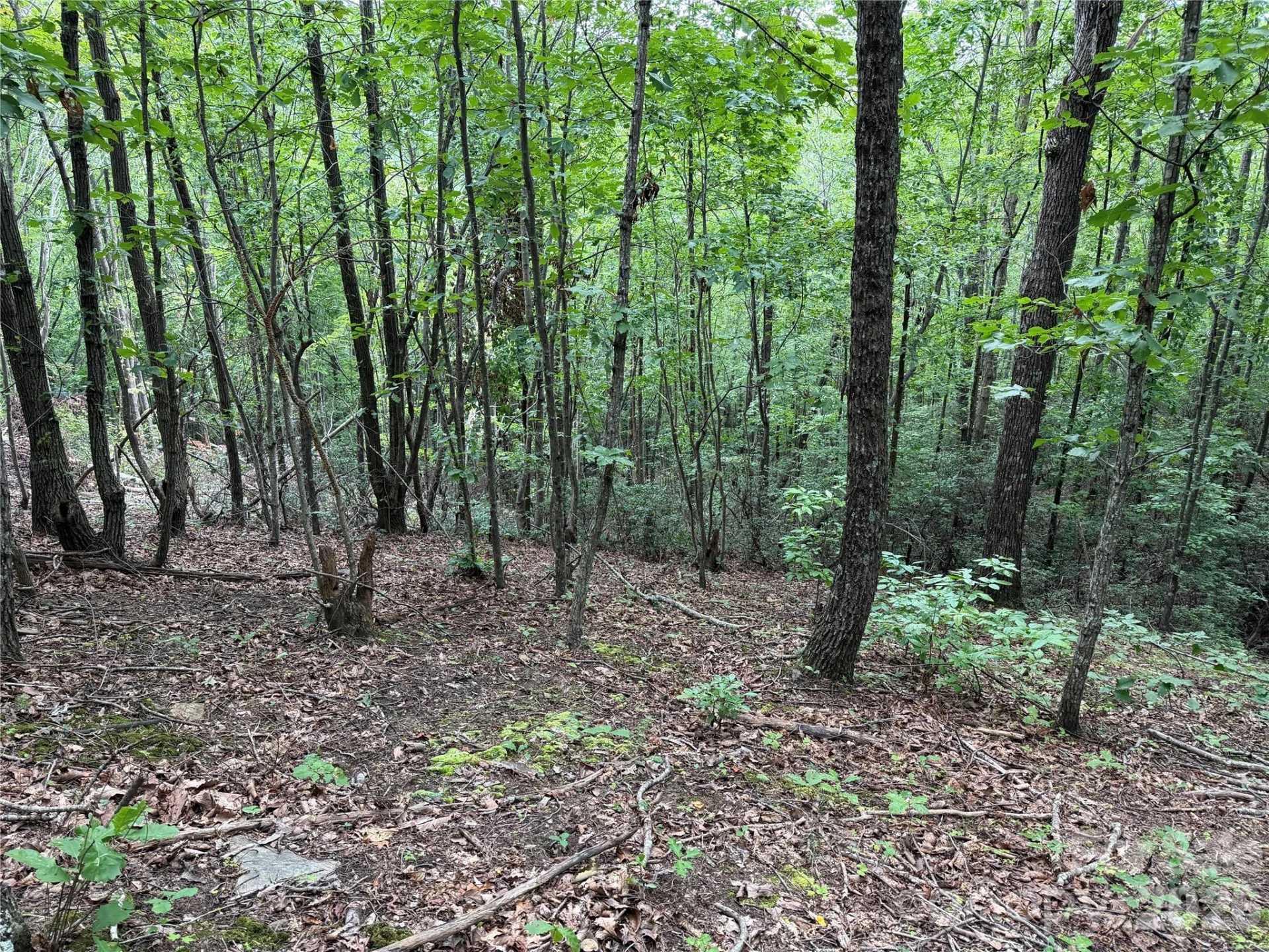 69 Idlewild Drive - Photo 8