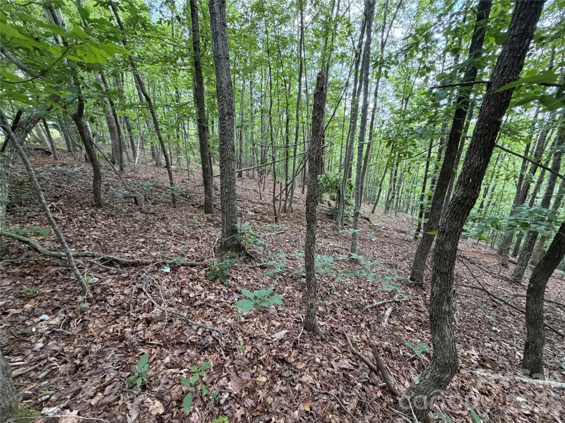 69 Idlewild Drive - Photo 9