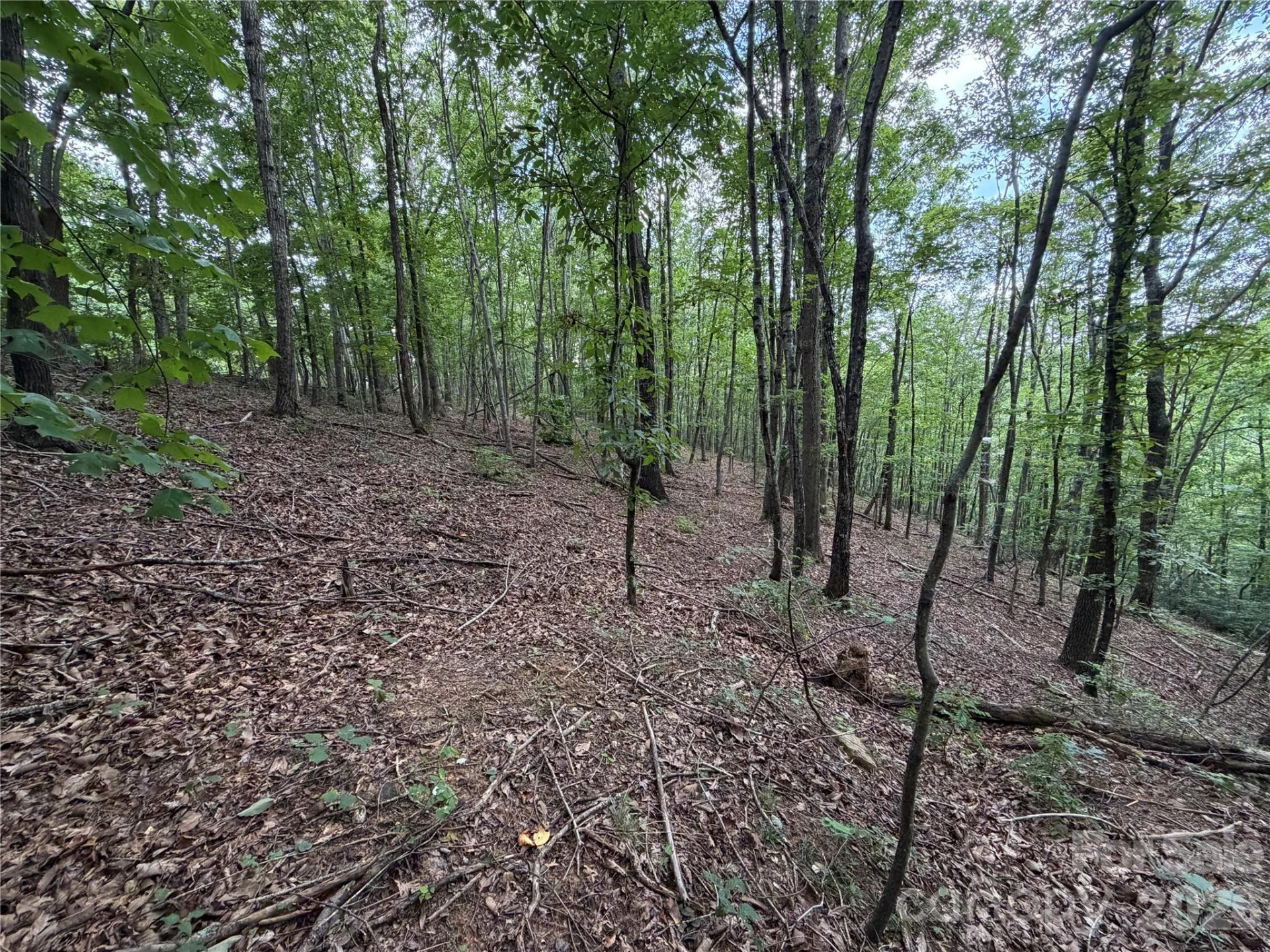 69 Idlewild Drive - Photo 10
