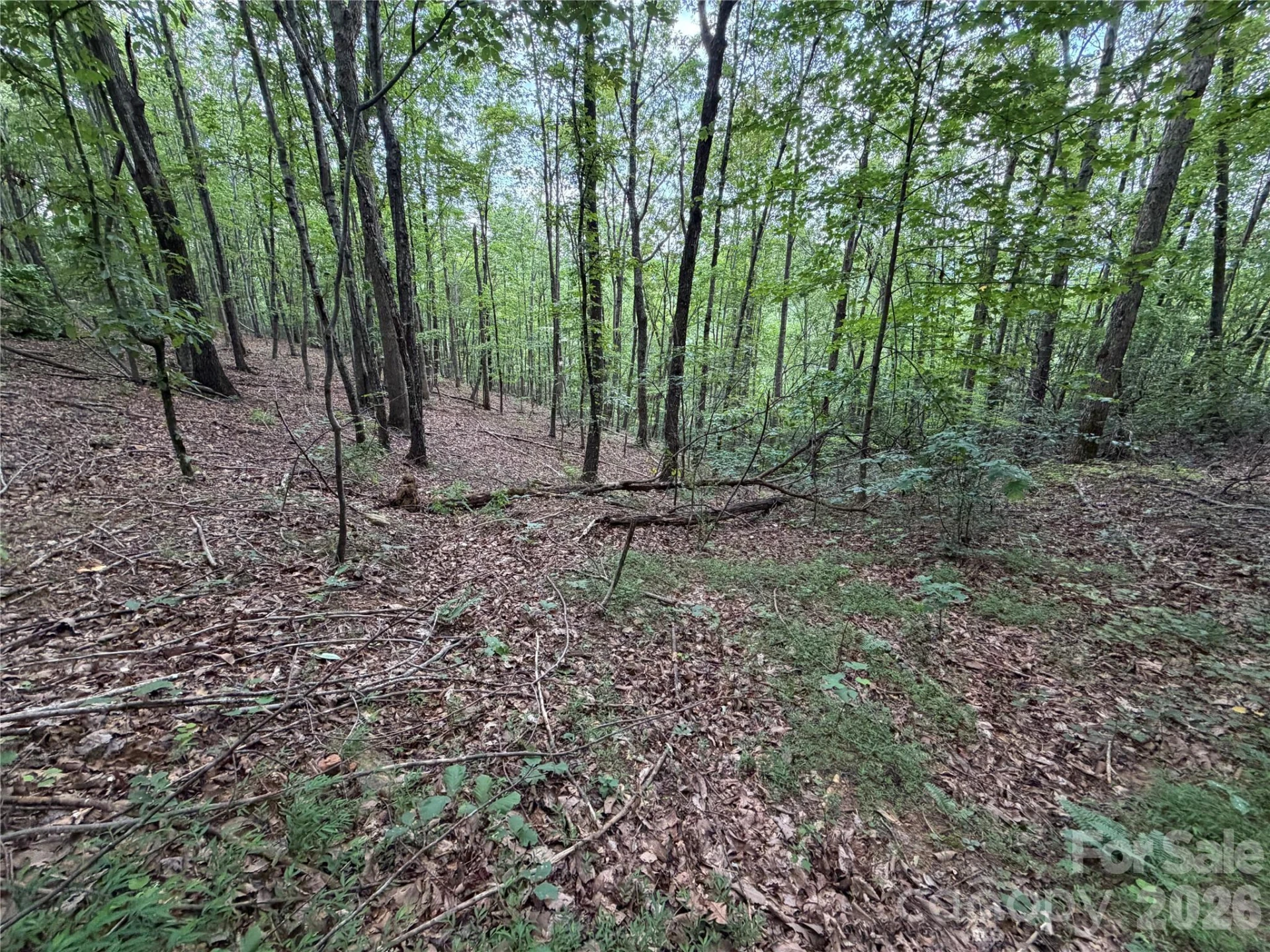 69 Idlewild Drive - Photo 11