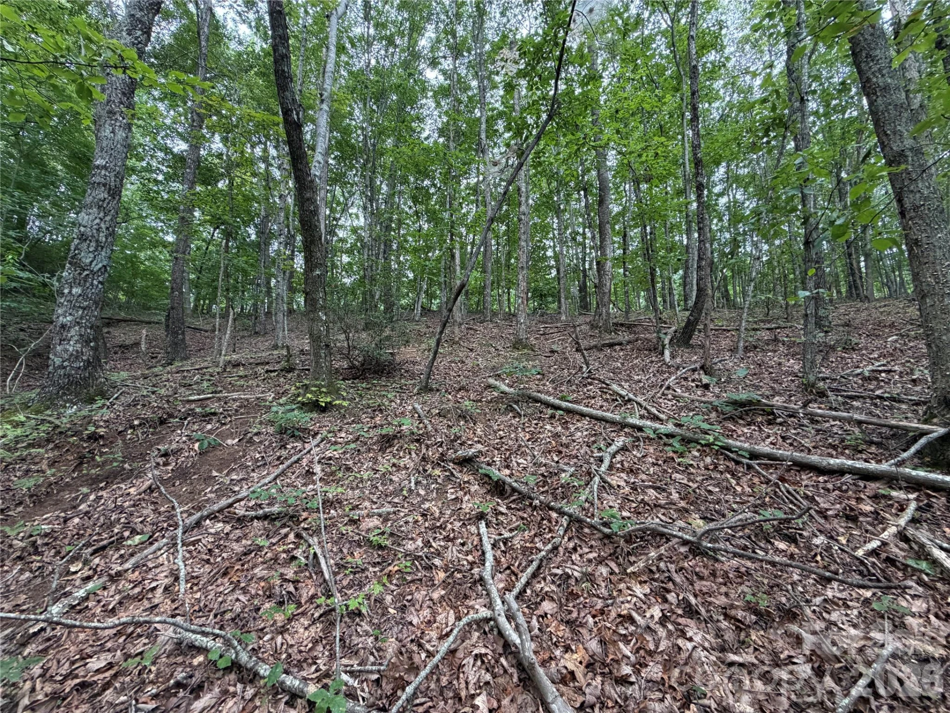 69 Idlewild Drive - Photo 12