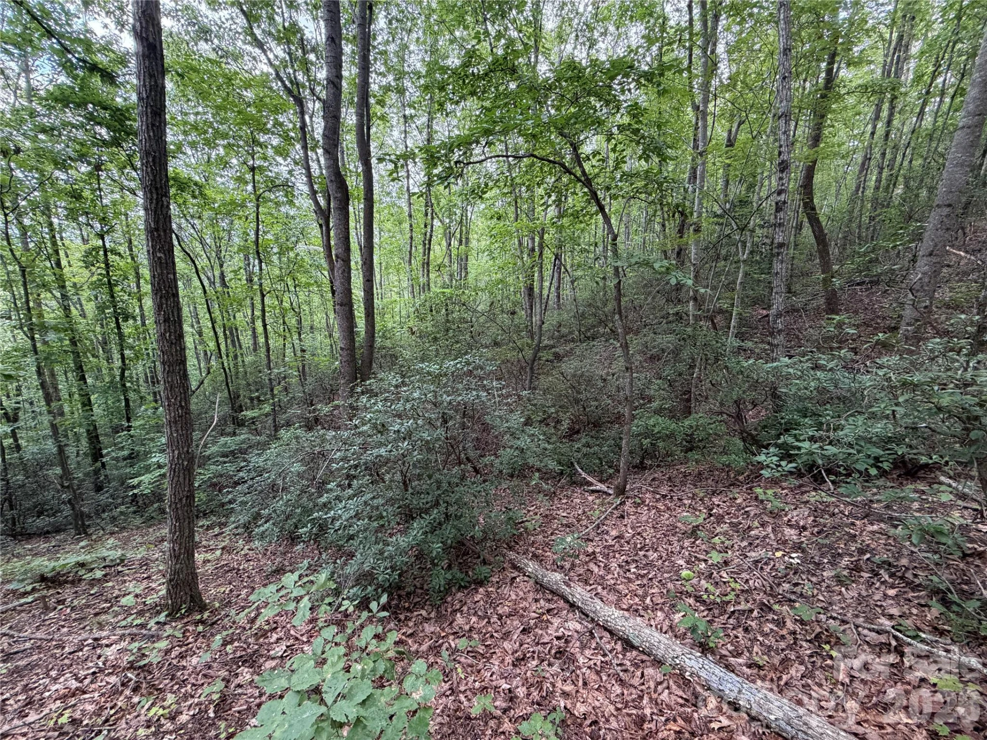 69 Idlewild Drive - Photo 13