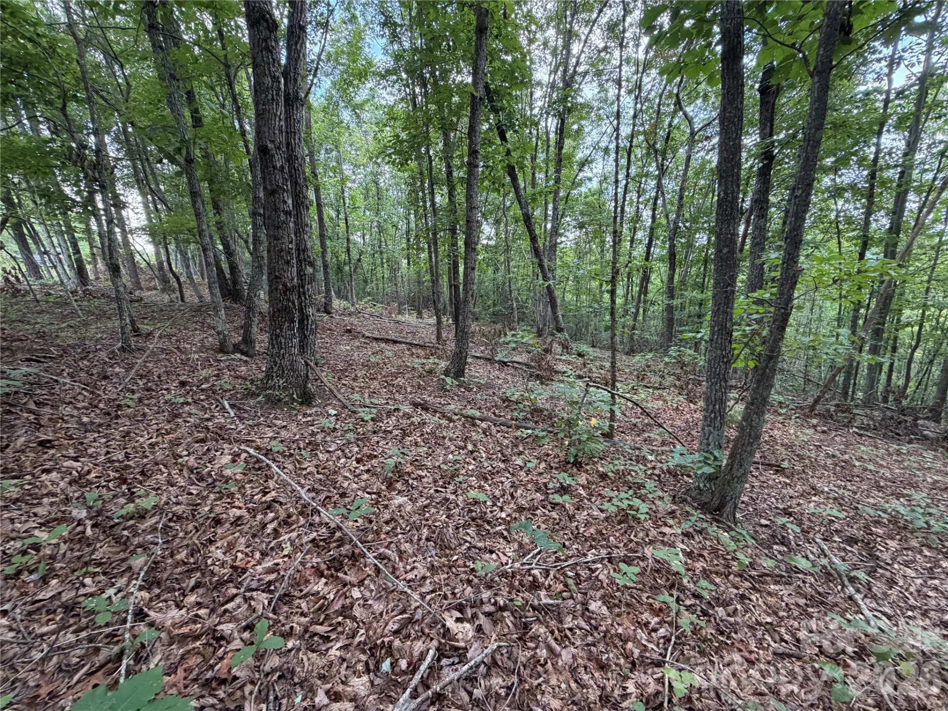 69 Idlewild Drive - Photo 14