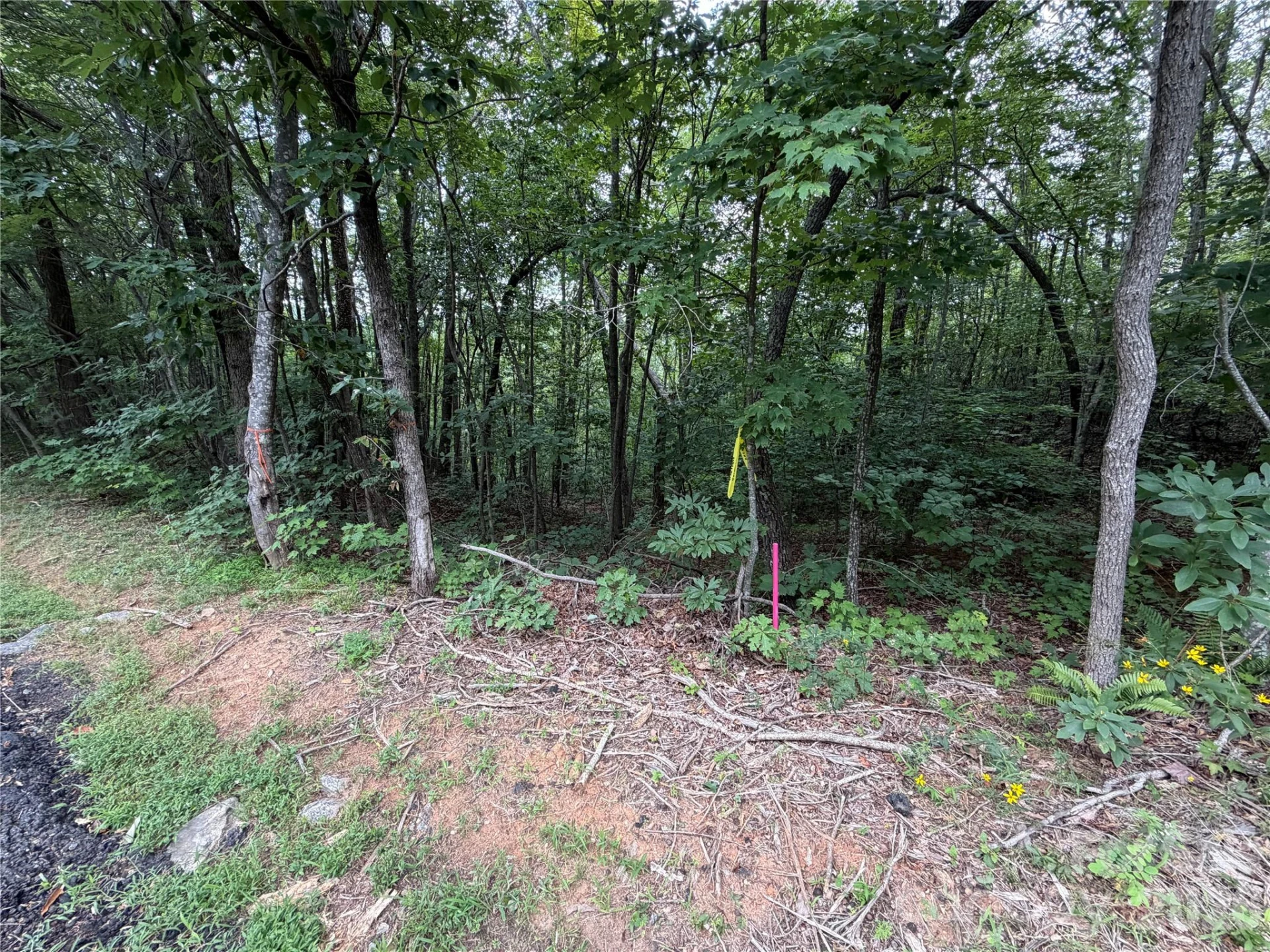 69 Idlewild Drive - Photo 15
