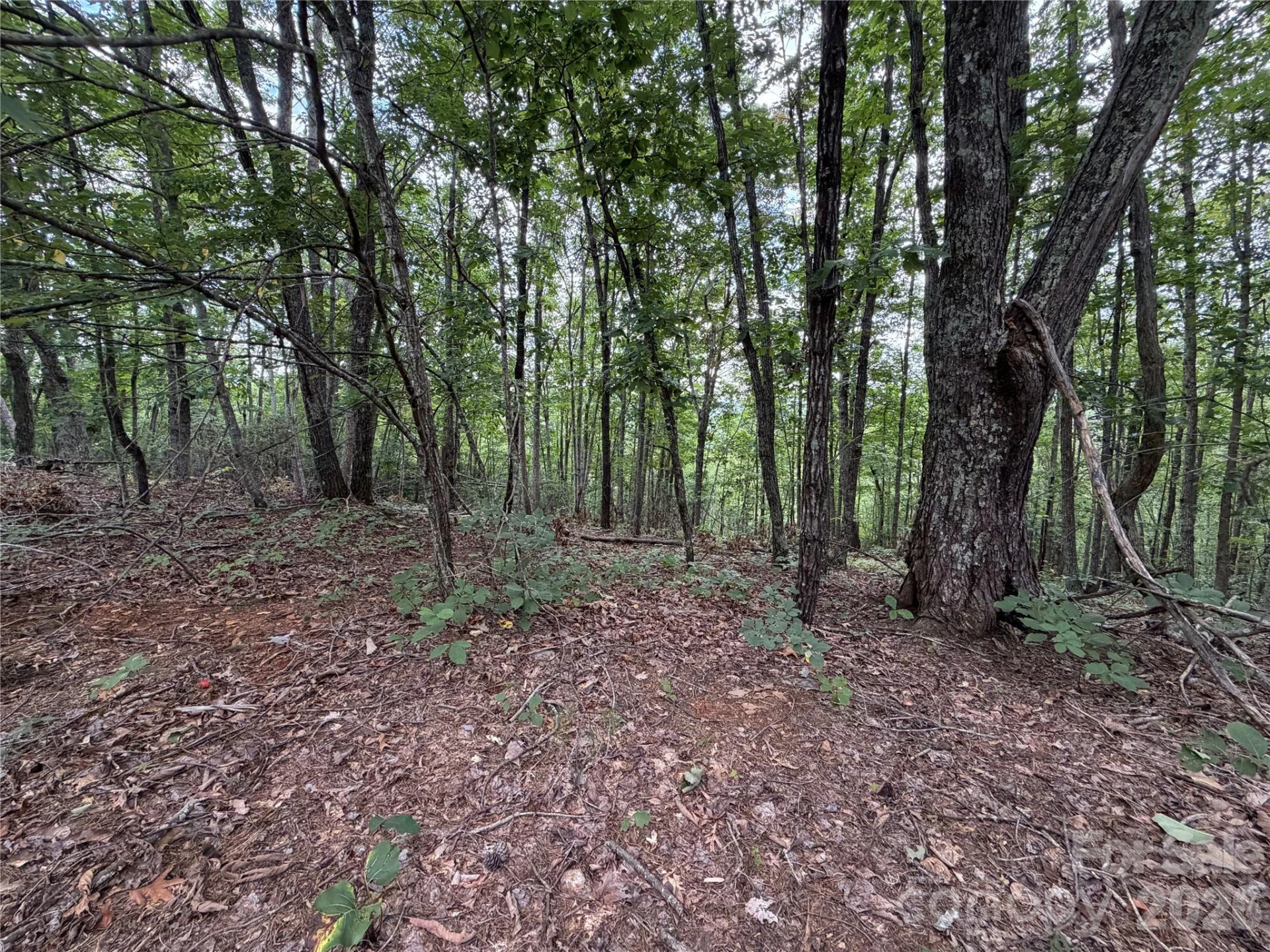 69 Idlewild Drive - Photo 16
