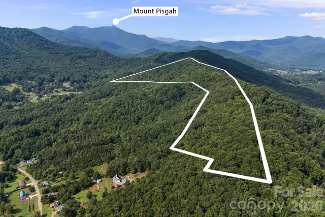 99999 Beaverdam Loop Road, Candler, NC, 28715