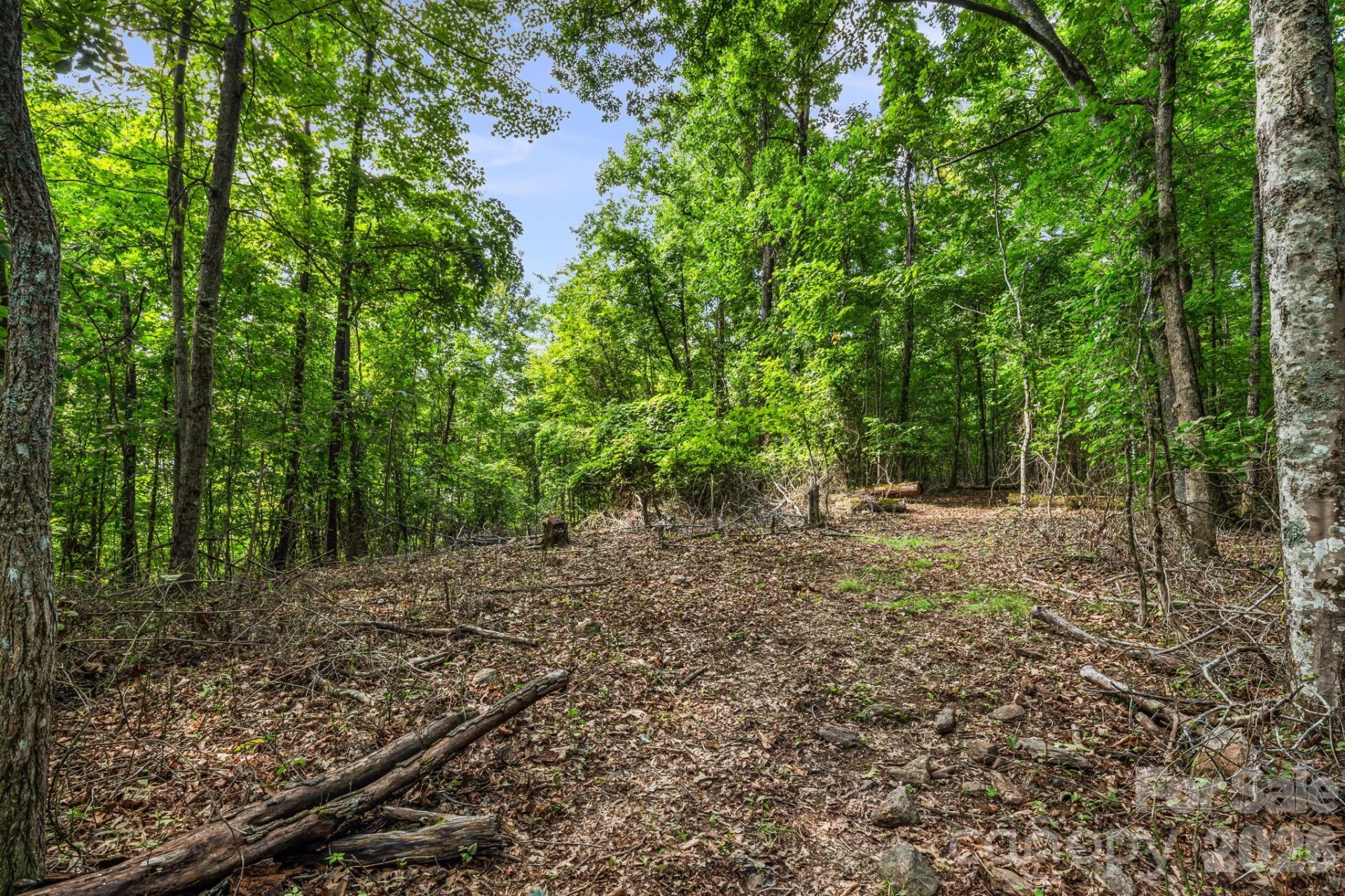 99999 Beaverdam Loop Road - Photo 7
