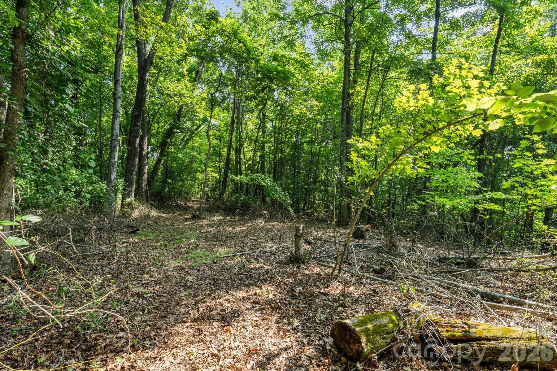 99999 Beaverdam Loop Road - Photo 8
