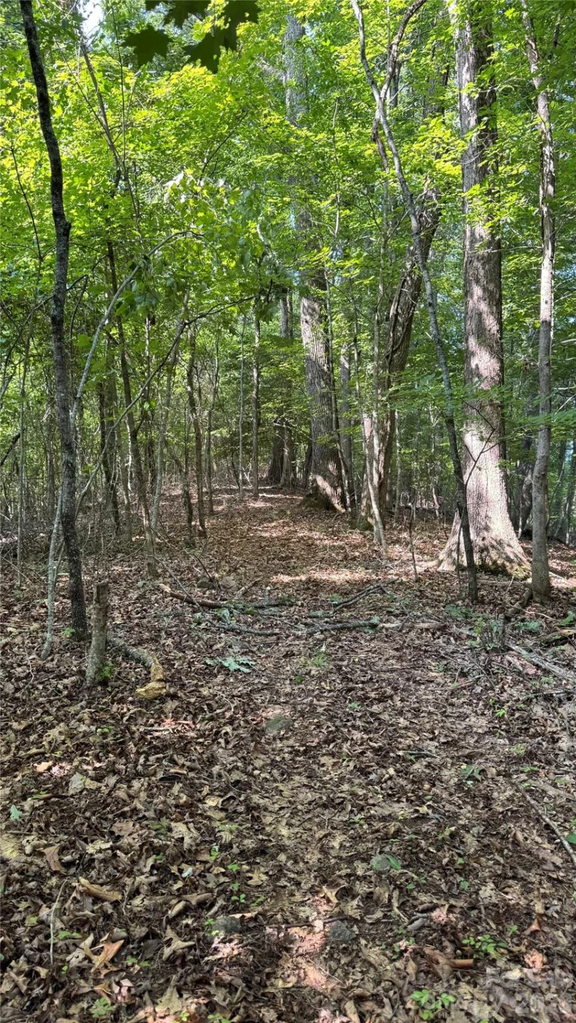 99999 Beaverdam Loop Road - Photo 10