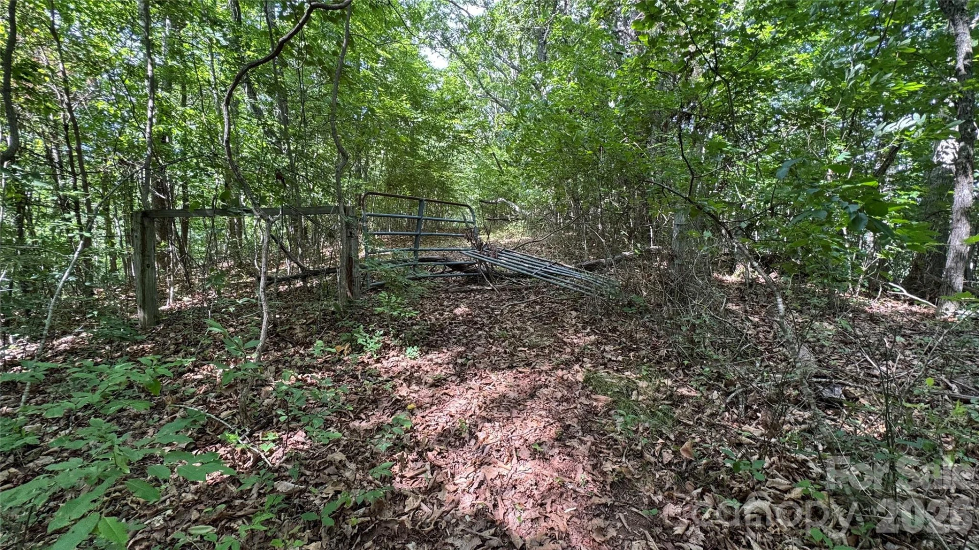 99999 Beaverdam Loop Road - Photo 13