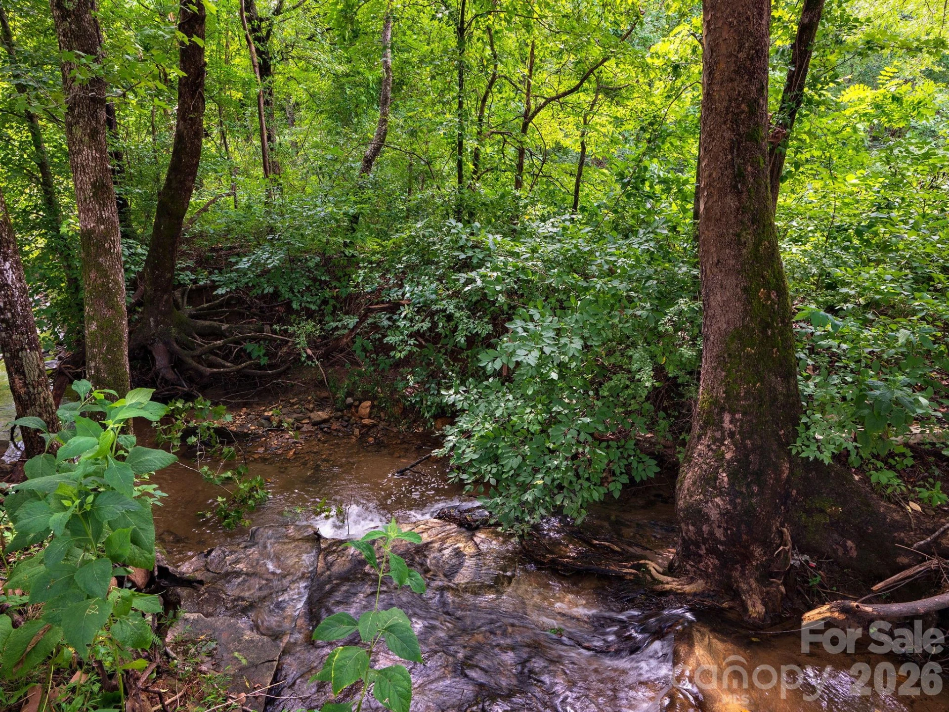 364 Hallelujah Hill Lane - Photo 31