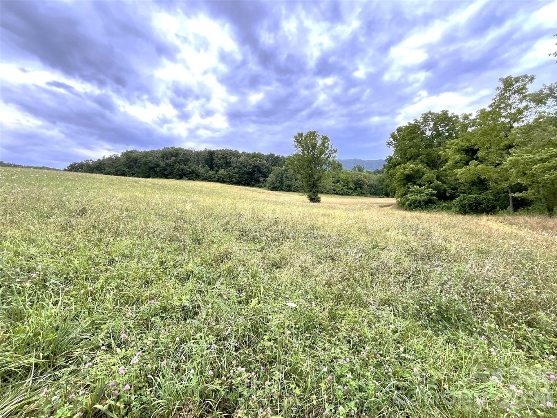 132 Hurd Road - Photo 3